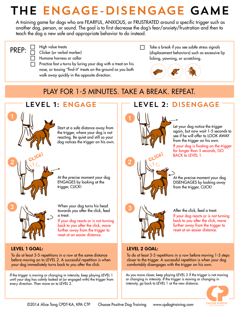 Leash Dog Training For Aggressive Dogs Professional Dog Boarding