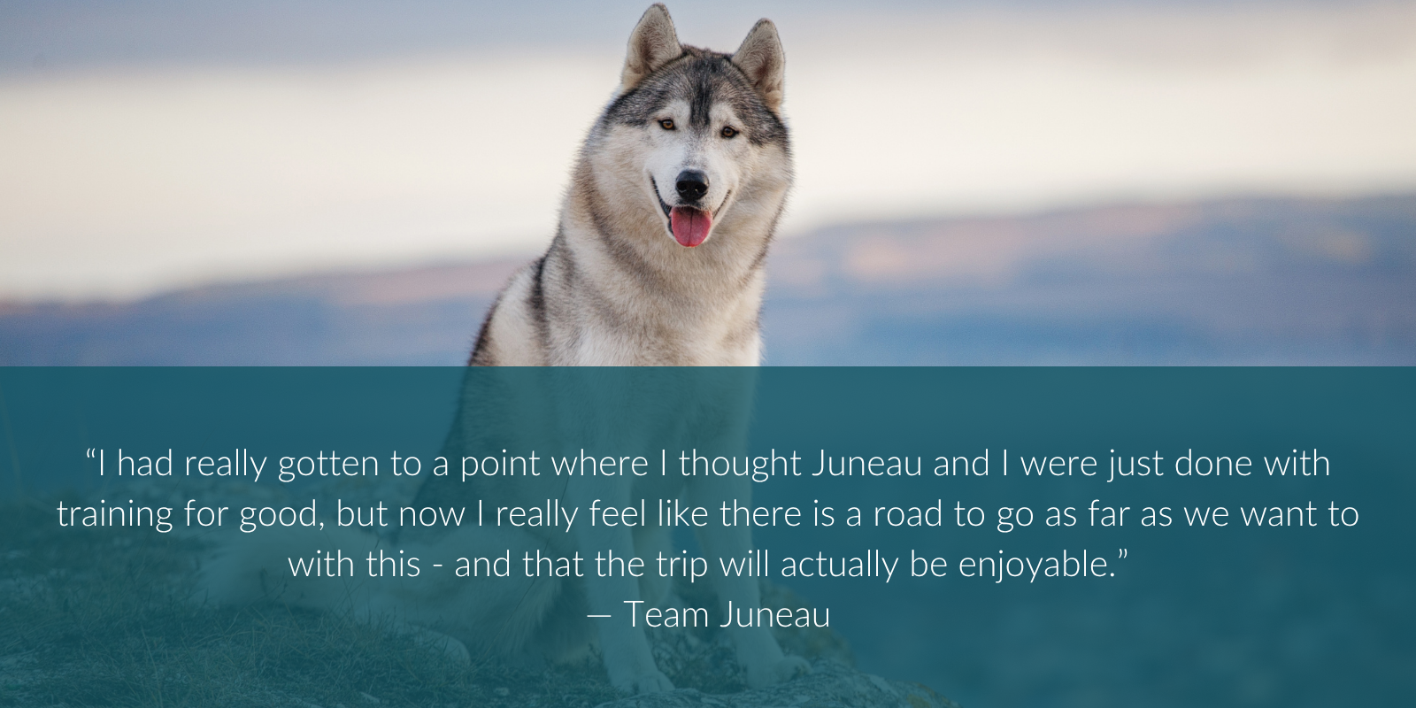“I had really gotten to a point where I thought Juneau and I were just done with training for good, but now I really feel like there is a road to go as far as we want to with this - and that the trip will actually be enjoyable.” — Team Juneau