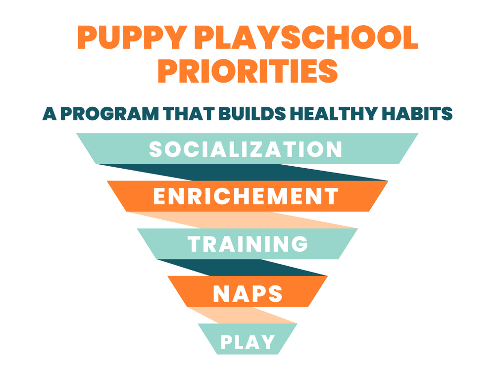 Drop off Puppy School