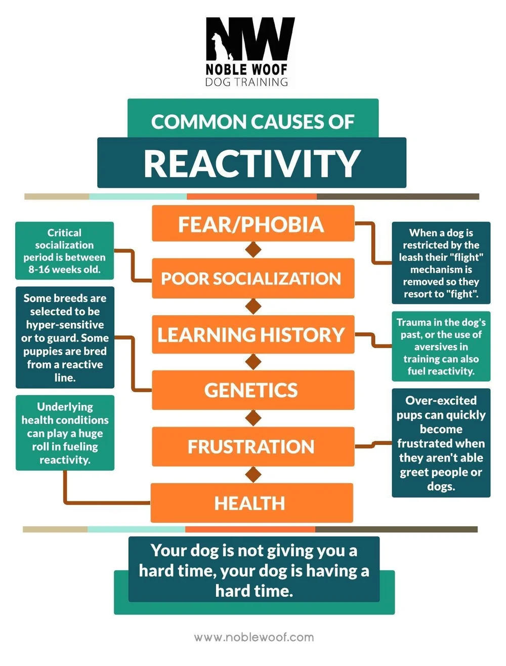 Top 5 Tips to stop leash reactivity — Noble Woof Dog Training Portland