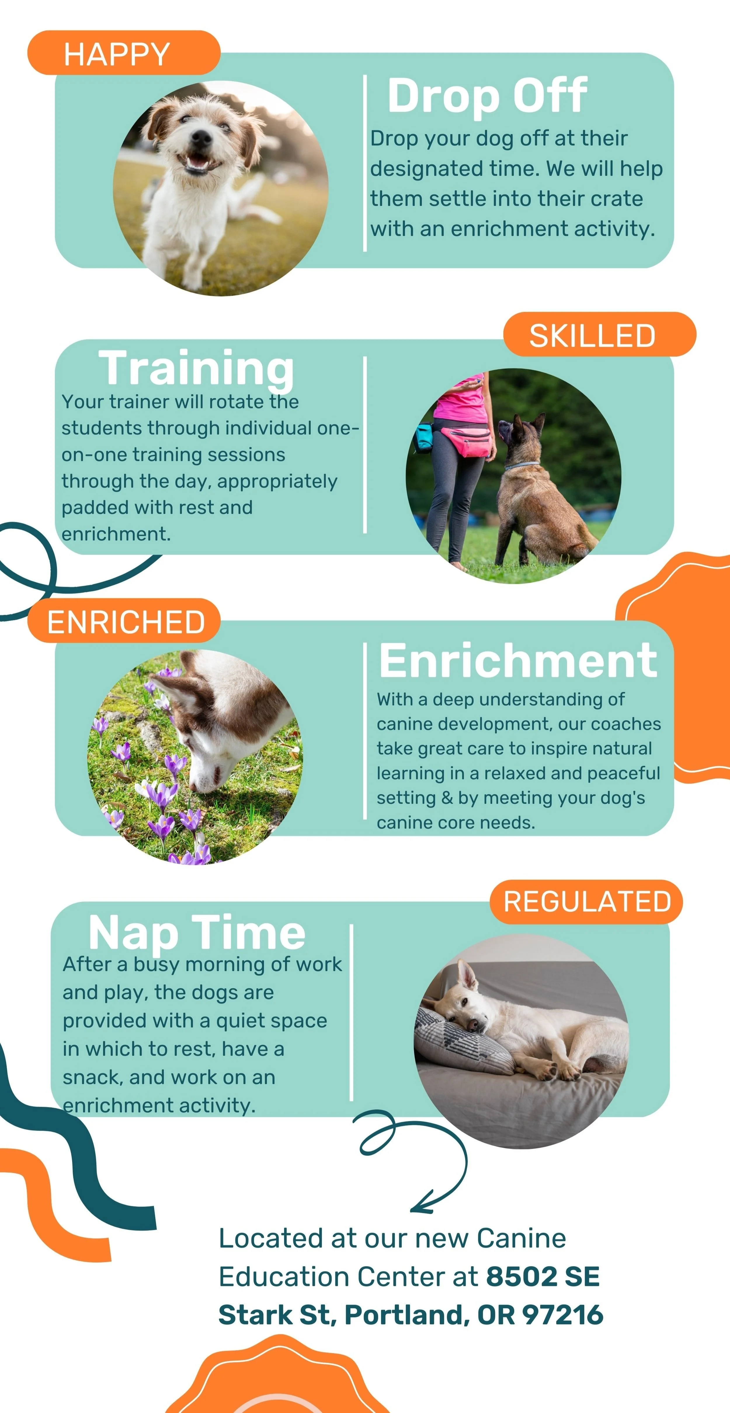 Animal Training Programs Dog Day Training Camp — Portland Oregon — Noble Woof Dog Training ...