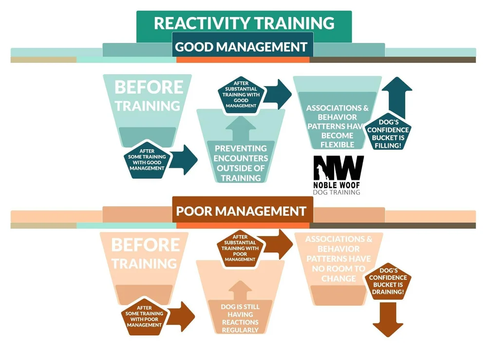 Top 5 Tips to stop leash reactivity — Noble Woof Dog Training Portland