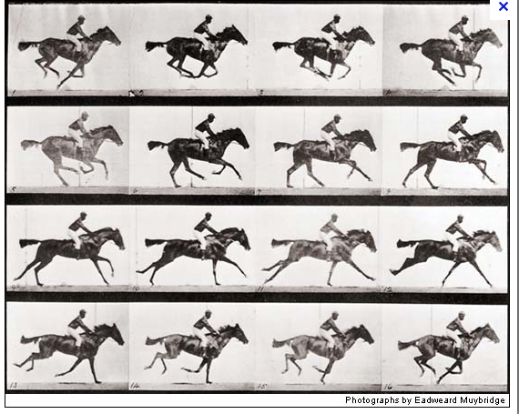 Muybridge Screen shot 2012-08-25 at 9.32.05 AM.png