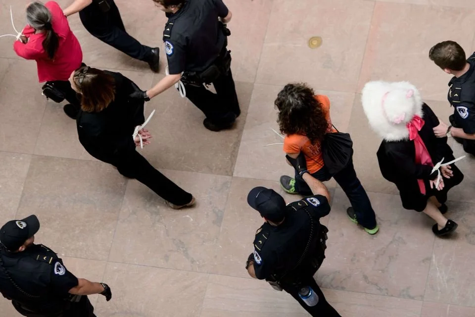 Polémica sobre Kavanaugh podría afectar a republicanos en las urnas, según activistas