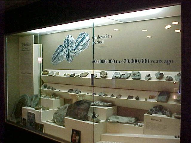 Ordovician Trilobite Exhibit