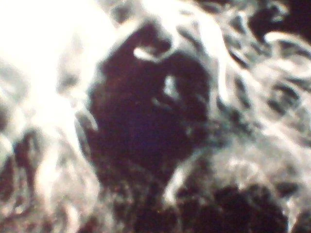 Random Pic at our house