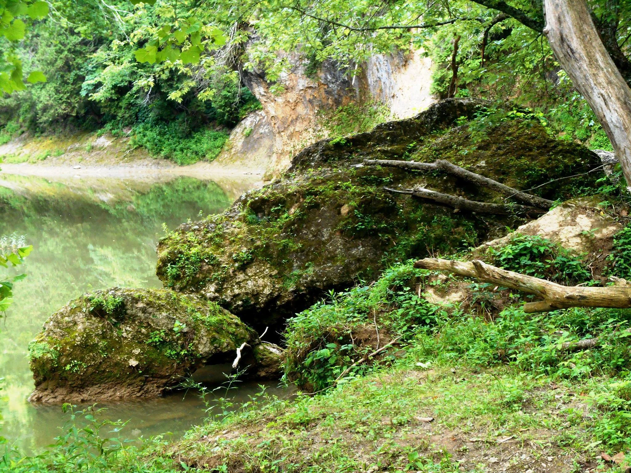 The under water is so important to all about peaceful gatherings because Brush creek is a water way that can connect to many other water ways across this county. Underwater Serpent Excerpt taken by an Article below written by AW Skelly There exists in the waters of the Ohio Brush Creek adjacent to the Great Serpent Mound effigy in Adams County, Ohio, a much older, but also in prehistory-a possibly-greatly revered -other -Serpent effigy. You can find this second Serpent by taking the path to the left of the driveway, at the bottom of the driveway at the entrance to the Serpent Mound Park, and walking towards the Serpent Mound, a couple of hundred feet, along the shoreline of the Ohio Brush Creek. This other Serpent effigy is a large stone boulder that is ignored by our experts today. “ It’s just a river rock…”. This magnificent second Serpent would have been interpreted as the “ Under Water Panther Serpent”, ruler of the Underworld and of the waters and rivers- of middle earth. The ancient people who lived in the Valley, would have appreciated this formation. The Under Water Panther Serpent matches their myths and legends. It is the type of object they would observe. The Underwater Panther Serpent may indeed be the original Serpent Mound Valley- Serpent -and its location below the Serpent Mound effigy hill, may be one of the reasons why the later occupants of this special Valley choose the hilltop above it as the setting for the Great Serpent Mound effigy. E.G. Squire one of the original archeologists to map the Ohio mounds and other sacred native sites, in Ohio and elsewhere, for the Smithsonian Institute wrote: “The superstitions of the Indians extended to remarkable objects in nature. A tree or stone of singular form seldom failed to command their reverence. A stone which, from the action of natural causes, has assumed the general form of a man or an animal, is especially an object of regard …”. E.G. Squier, Antiquities of the State of New York, Smithsonian Contributions to Knowledge, Vol. II, 1851 There is a magical feel to the Water Serpent- Grotto that is worth a small side trip, to anyone who comes to visit the Great Serpent Mound effigy-above the Water Serpent. At nearly 25 feet in length, there is no way that native people who walked, fished, and hunted along this rivers edge-for over a thousand years -would have failed to notice this other “Water Serpent” effigy stone. We know that this “Water Serpent “effigy was worshipped by the people of the Valley by the fact that they carved numerous rocks and stones in its shape and form. The people of the Serpent Mound Valley left us various images in rock and stone that both show us who they were and about their religious beliefs. Tag Photo