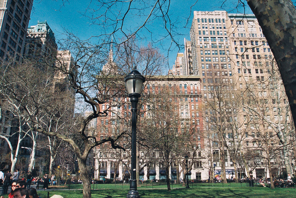 park.jpg