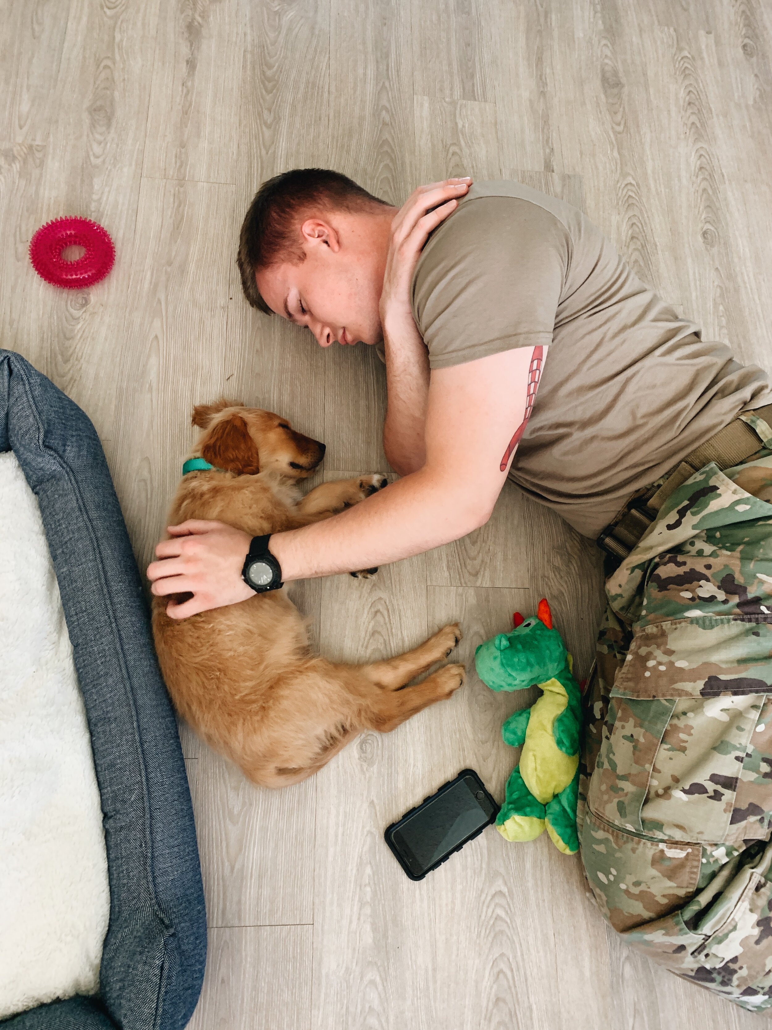 military homecoming dog (Copy) (Copy)