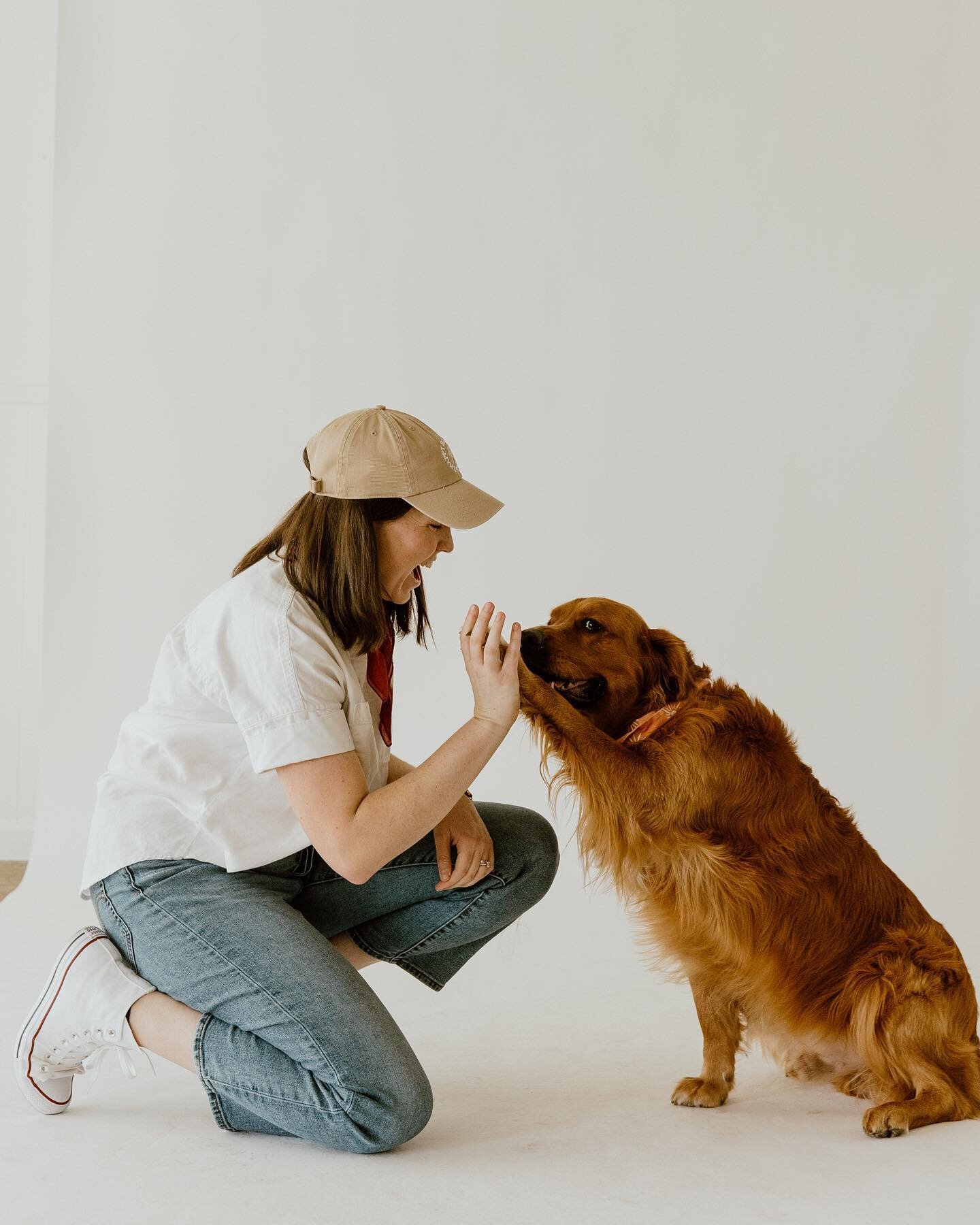 Cooper appreciation post 🦮🐾

One of my favorite things about my Cooper (and tbh, most golden retrievers in general) is how infectious their playfulness is. 

Coop&rsquo;s zest for life (and naps, can I get an amen?), always lifts my spirits. 

Ther