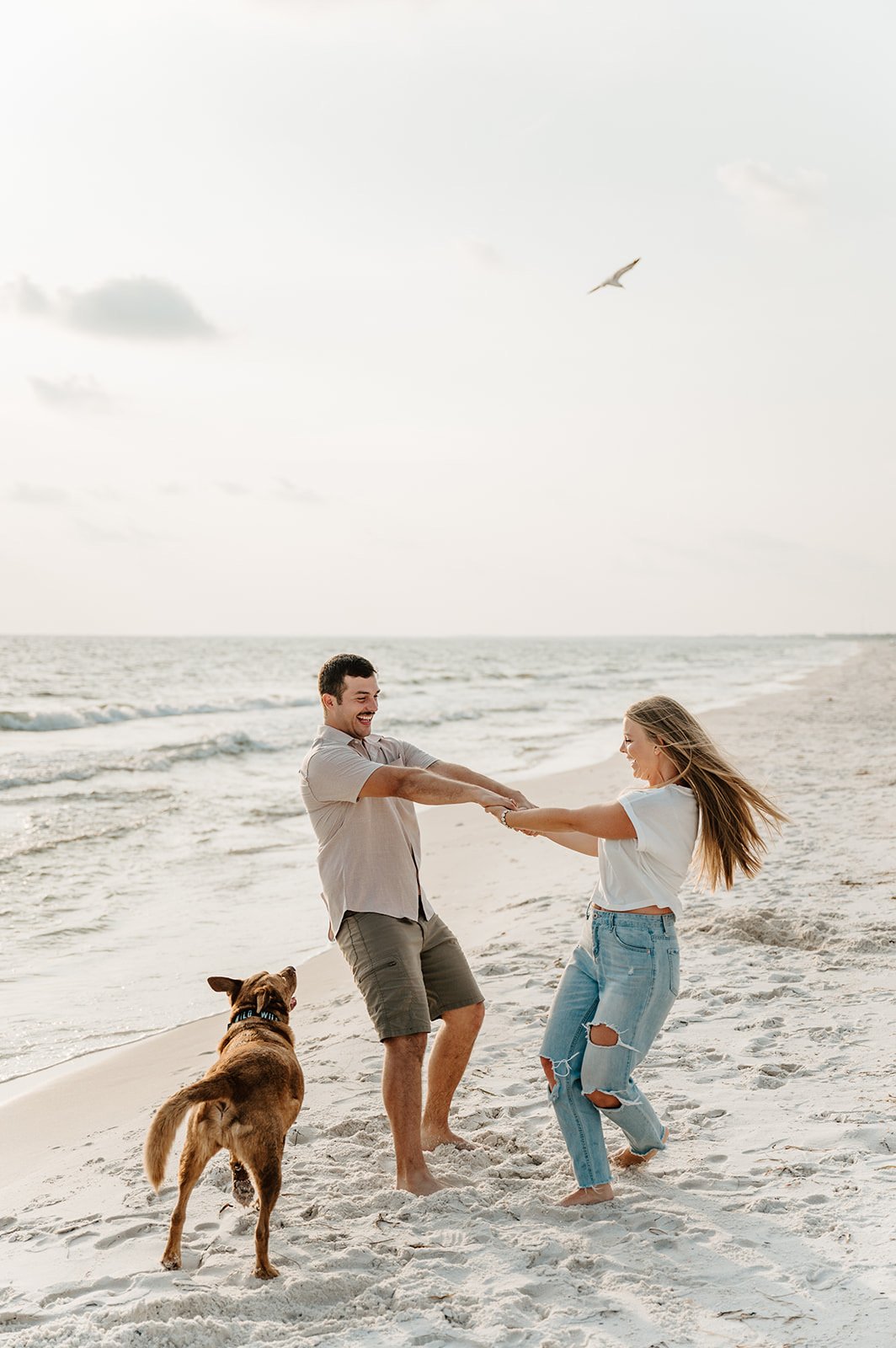 A couple and a dog playing on the beach, holding hands and smiling, with the ocean and a bird flying overhead in the background.