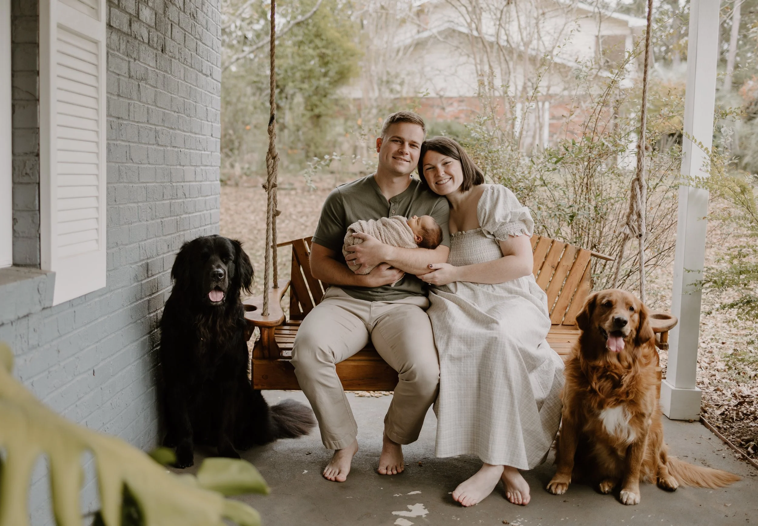 A family of four sitting on a porch swing with two dogs. The father and mother are smiling, holding a newborn baby wrapped in a blanket. The porch has a gray brick wall on one side and trees in the background. The dogs, a black retriever and a golden retriever, sit on the porch floor beside the swing, both with their tongues out.