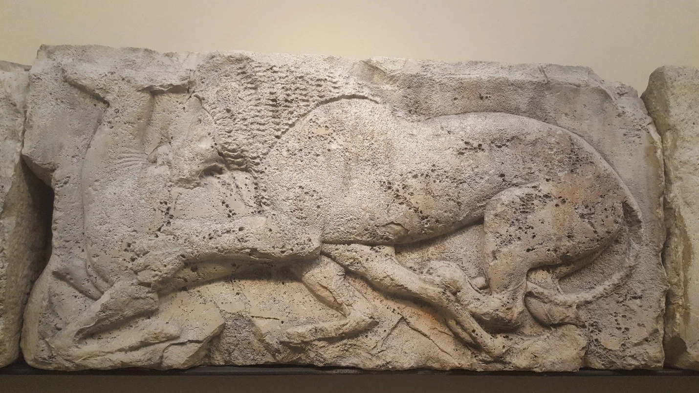 See Yourself in Stone