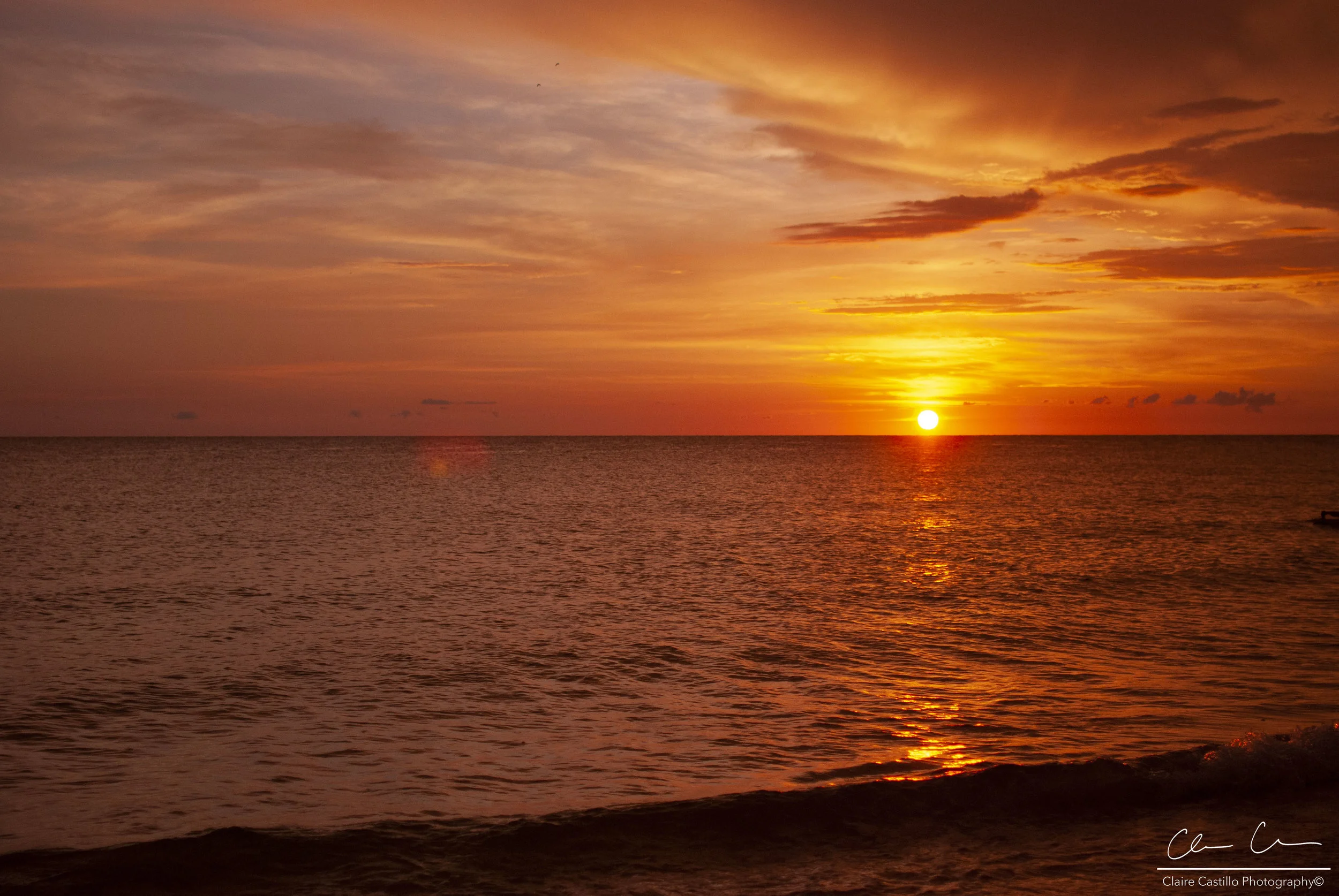DSC_3266.jpg