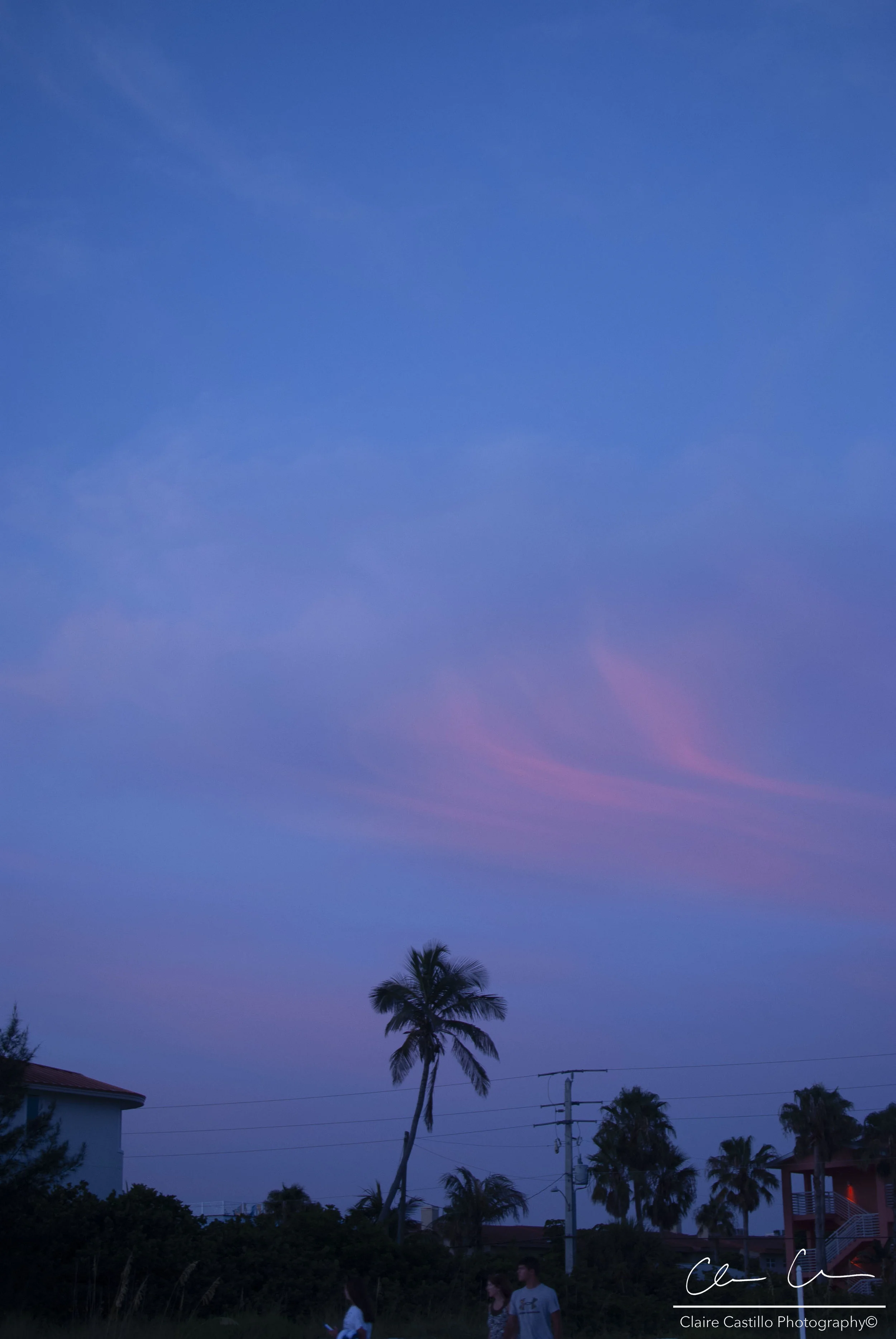 DSC_2838 - copy.jpg