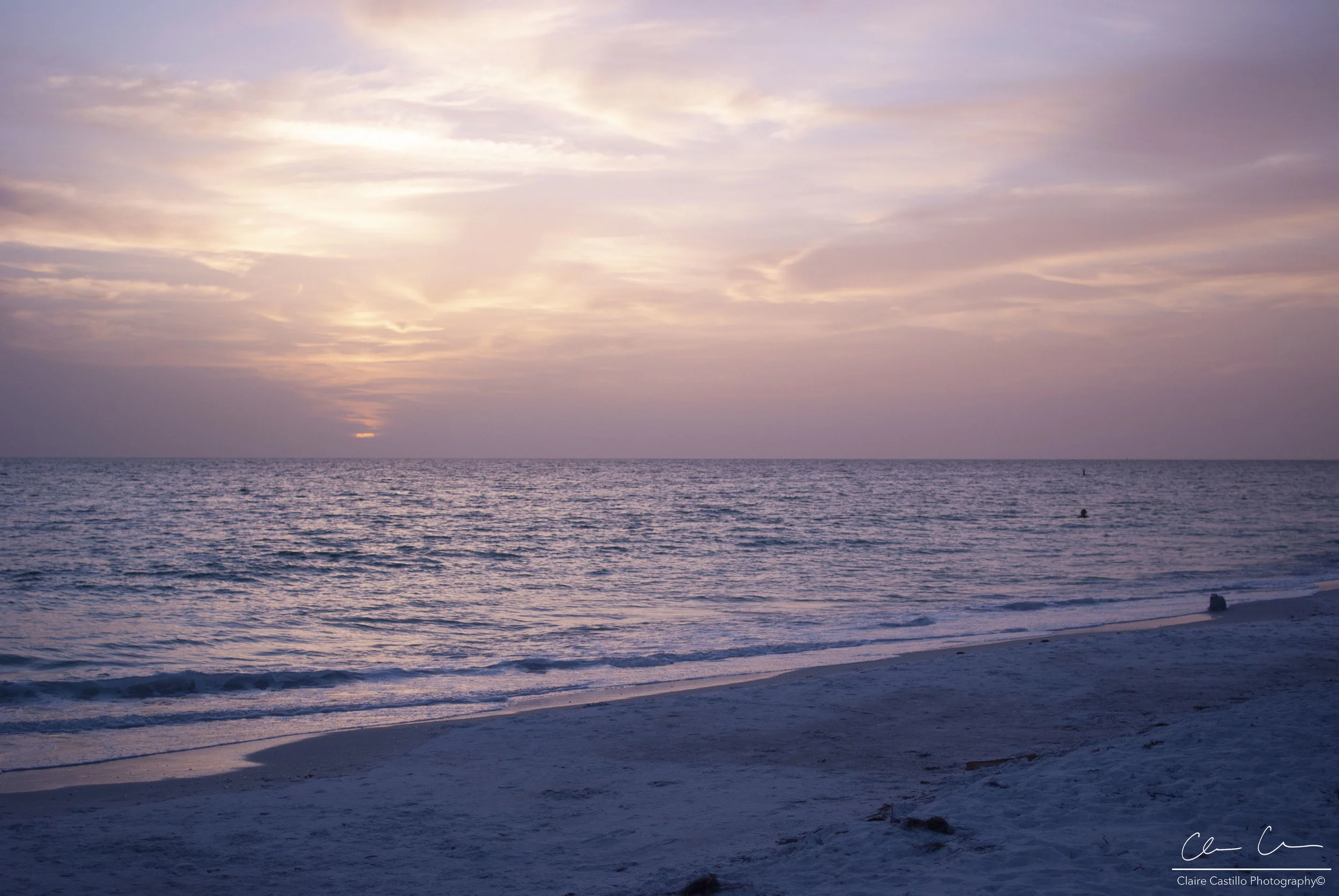 DSC_2749 - copy.jpg