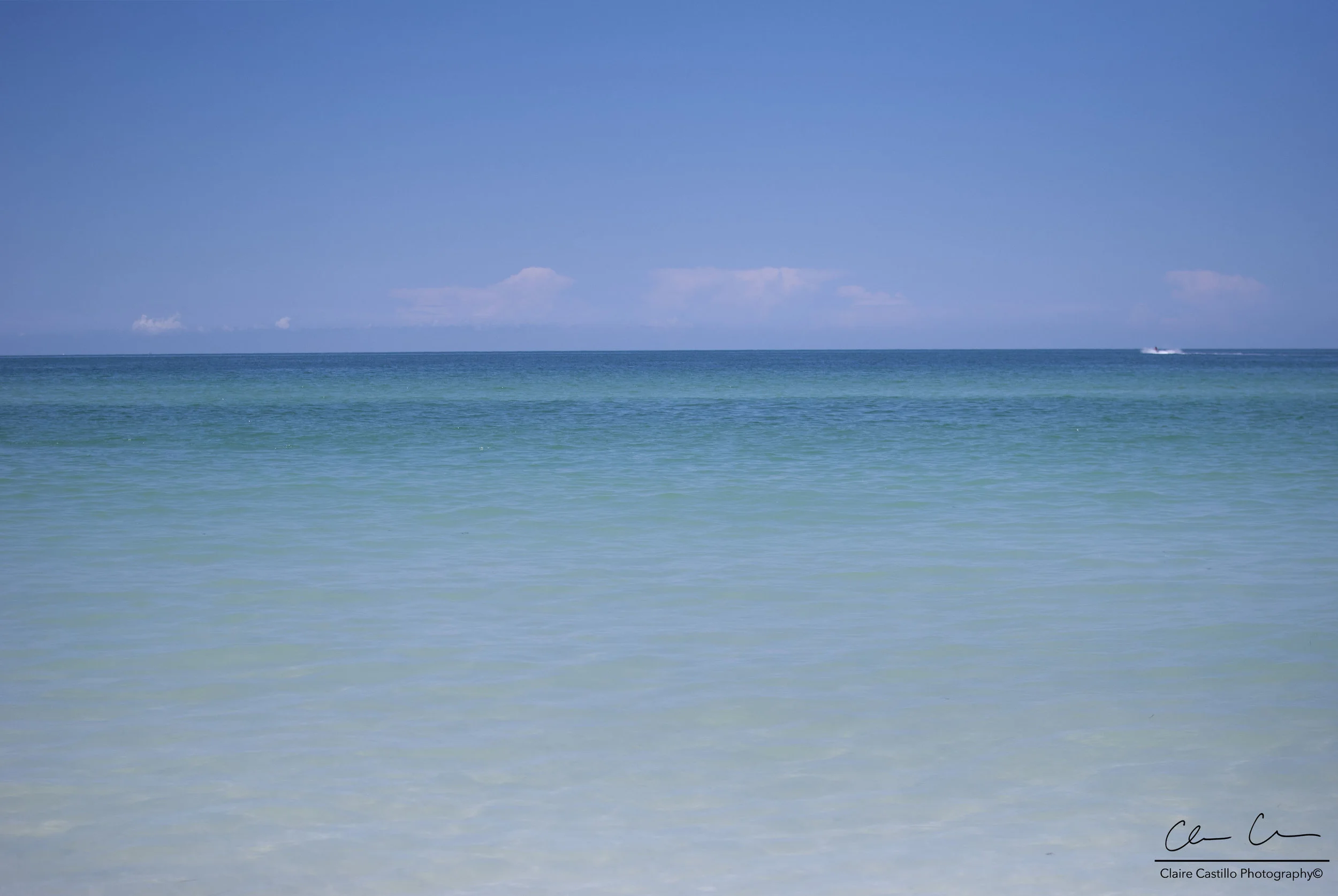 DSC_3015.jpg
