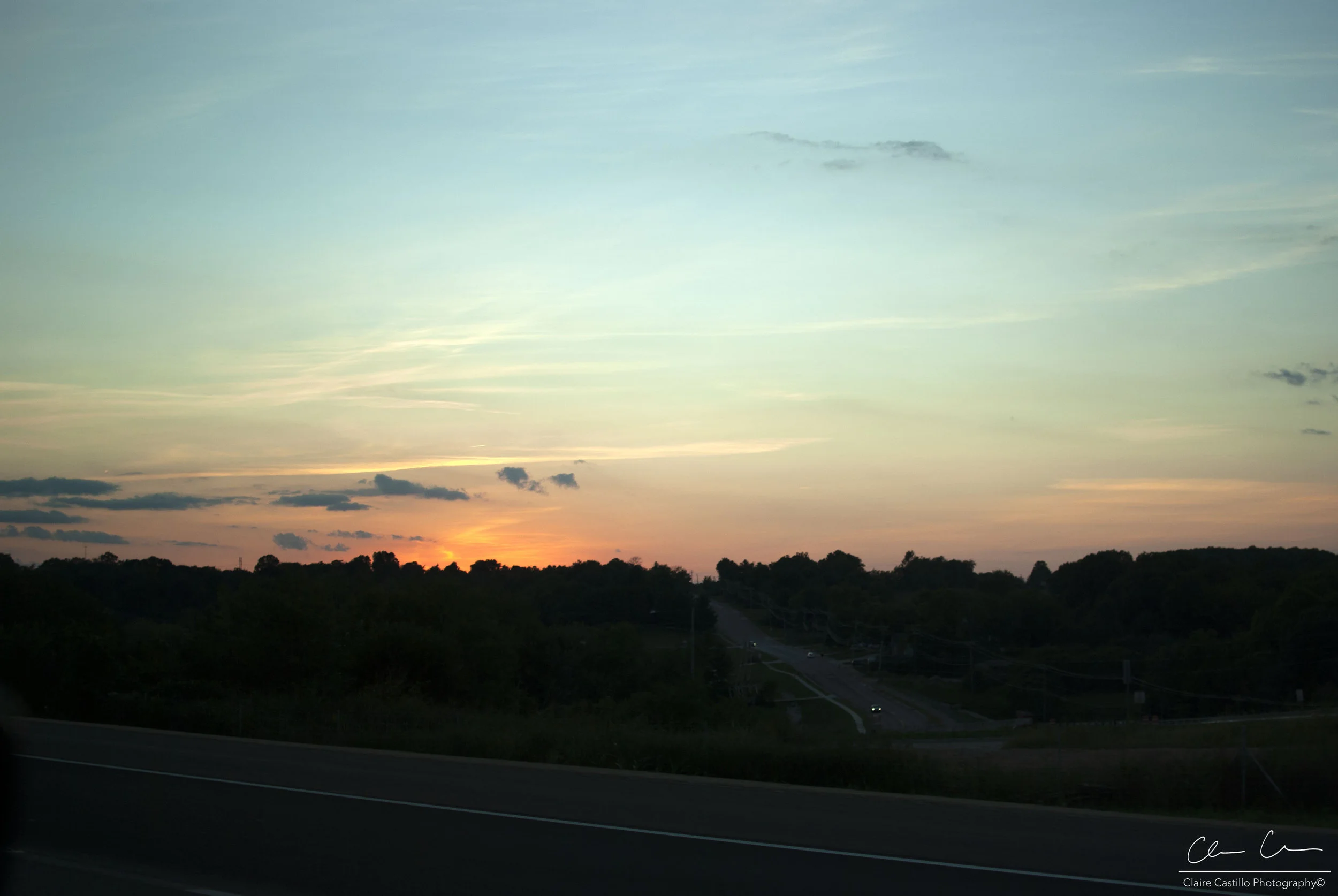 DSC_5495 copy.jpg