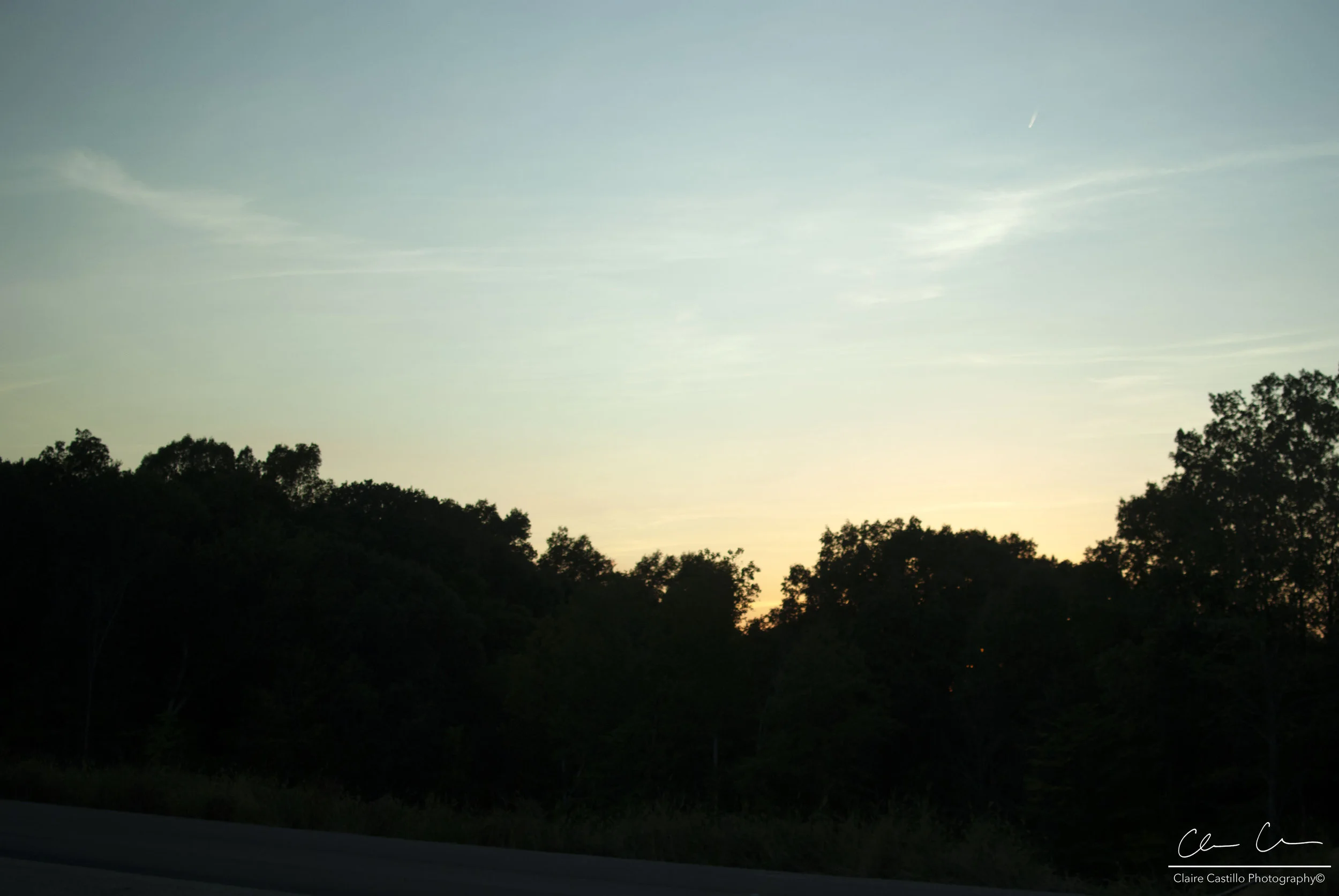 DSC_5483 copy.jpg