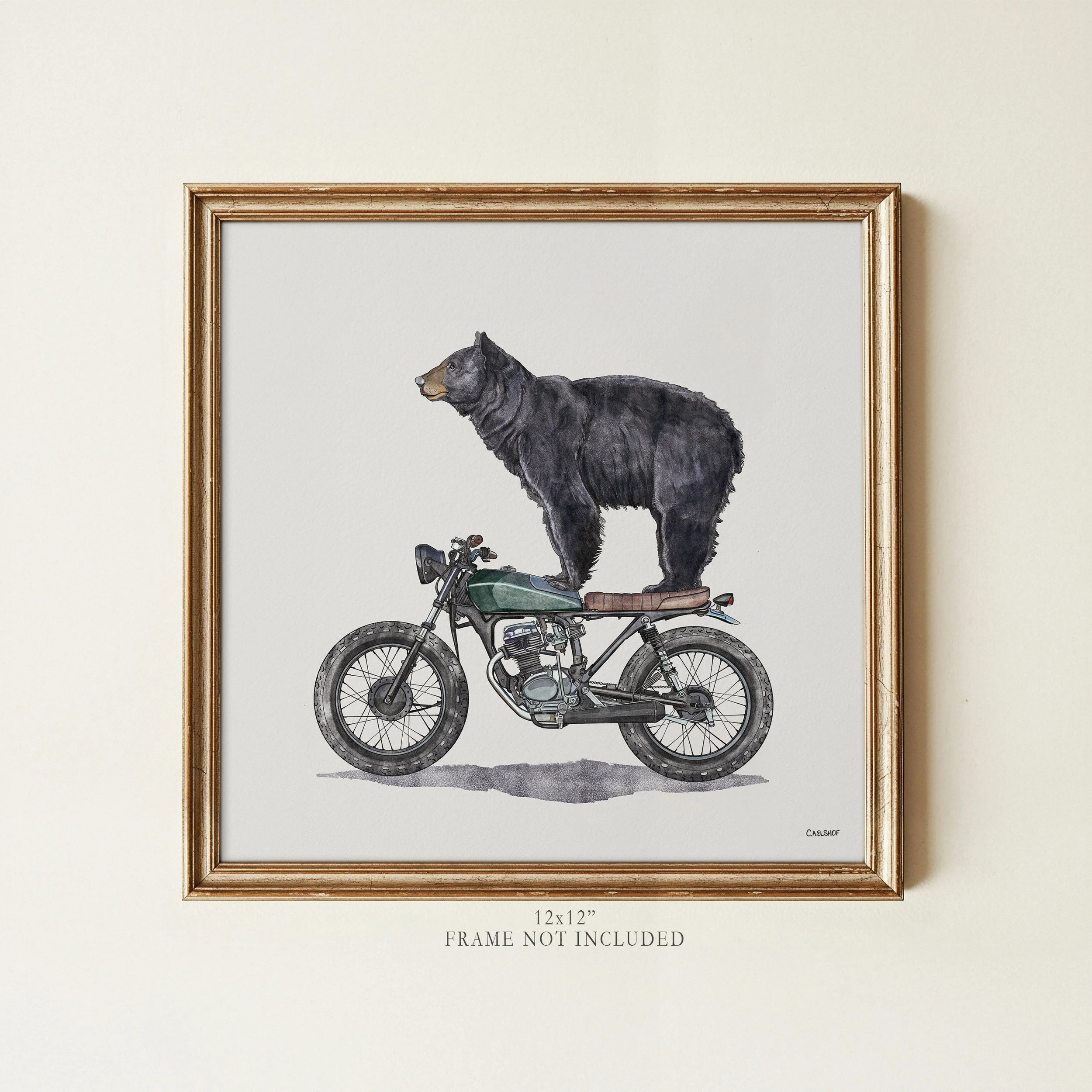 black_bear_on_motorcycle-12x12-framed.jpg
