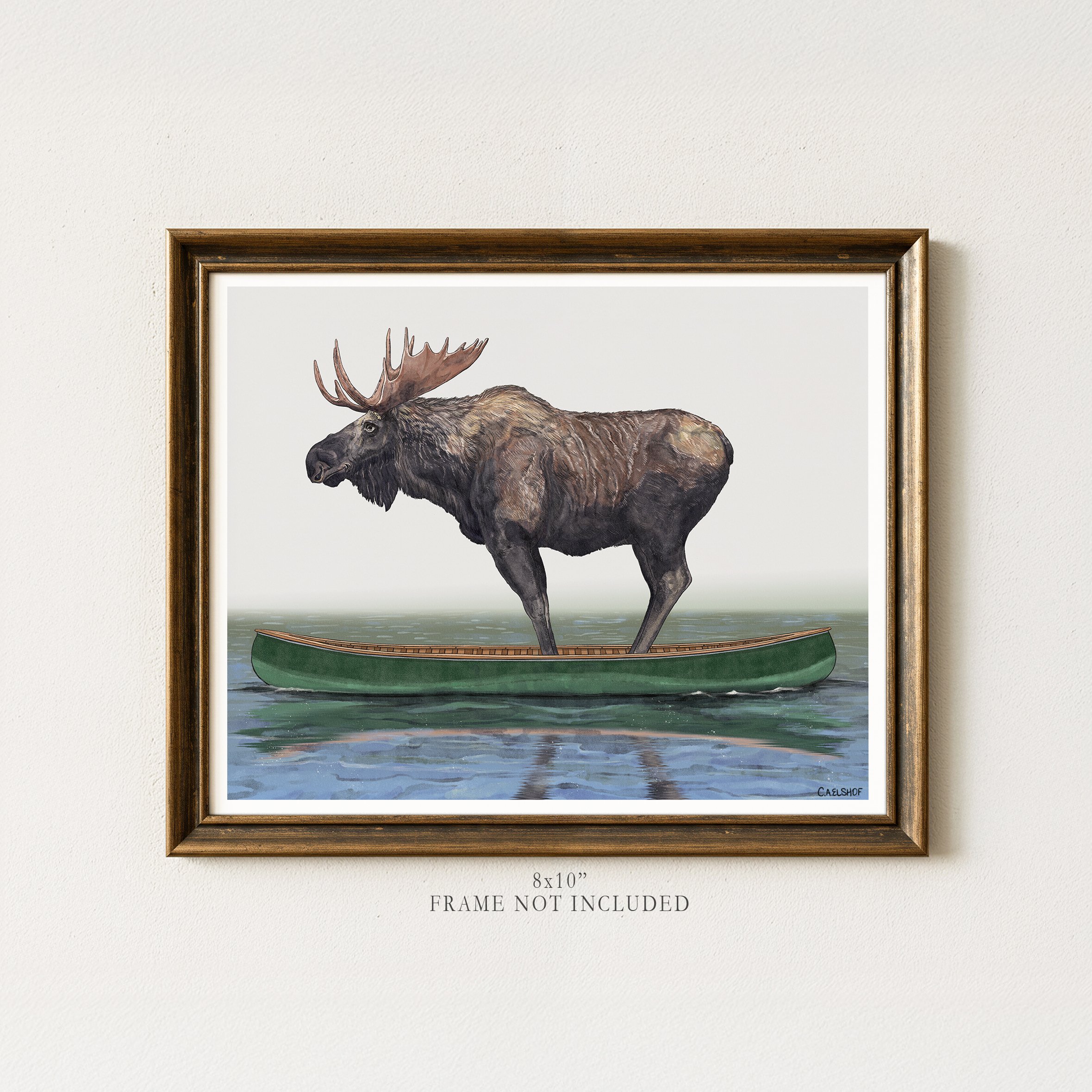 Moose In Canoe