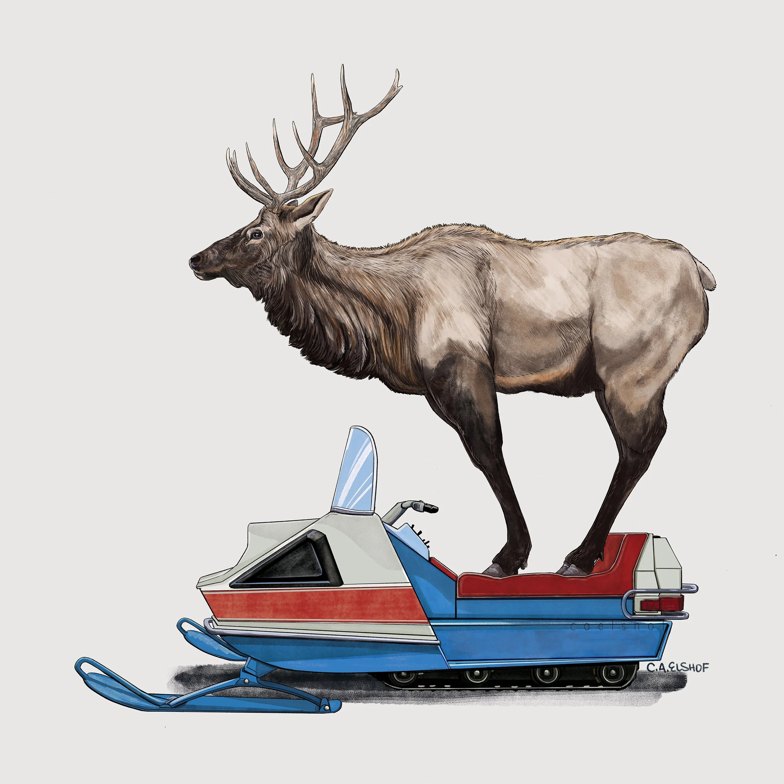elk_on_snowmobile_caelshof.jpg