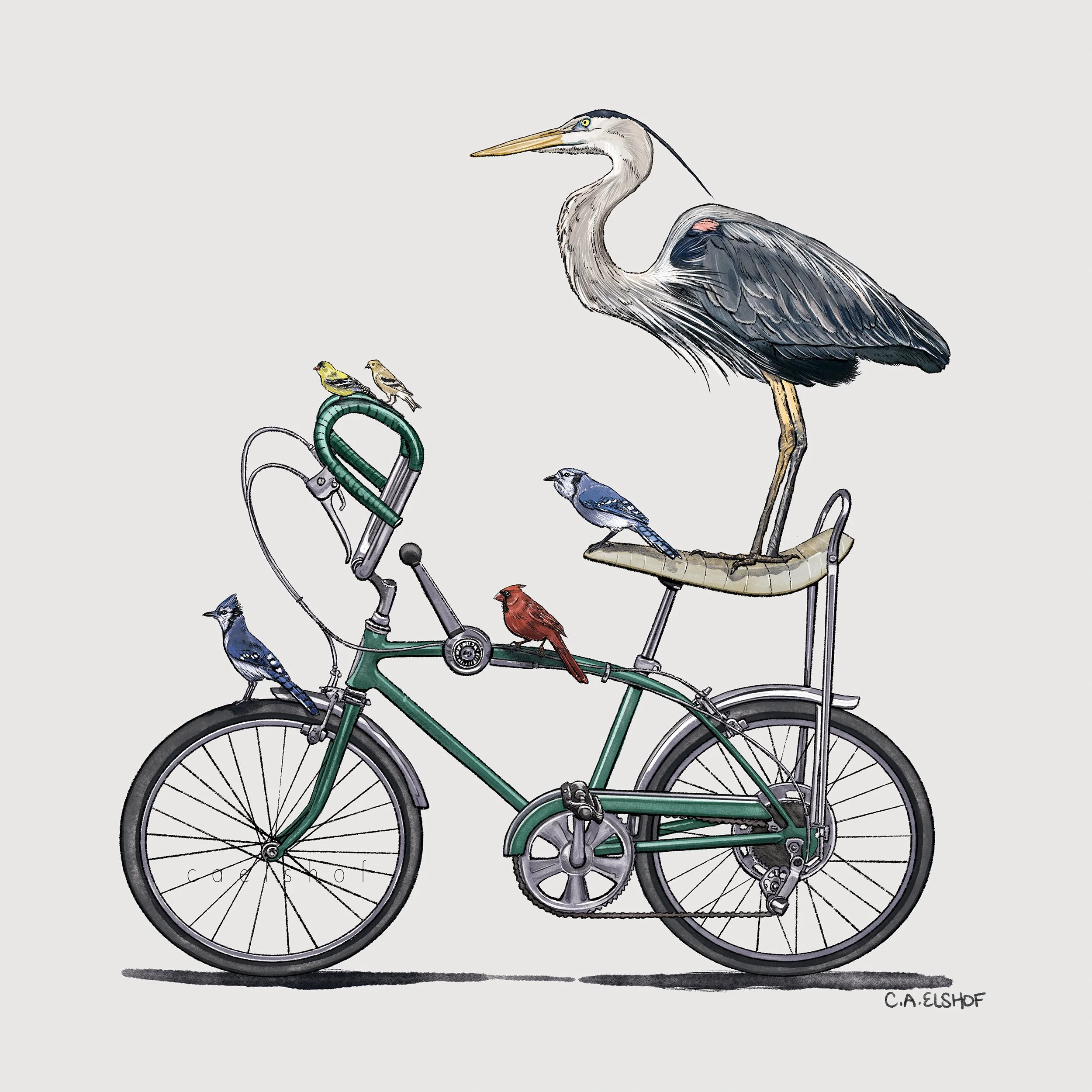 birds_on_bike_caelshof.jpg