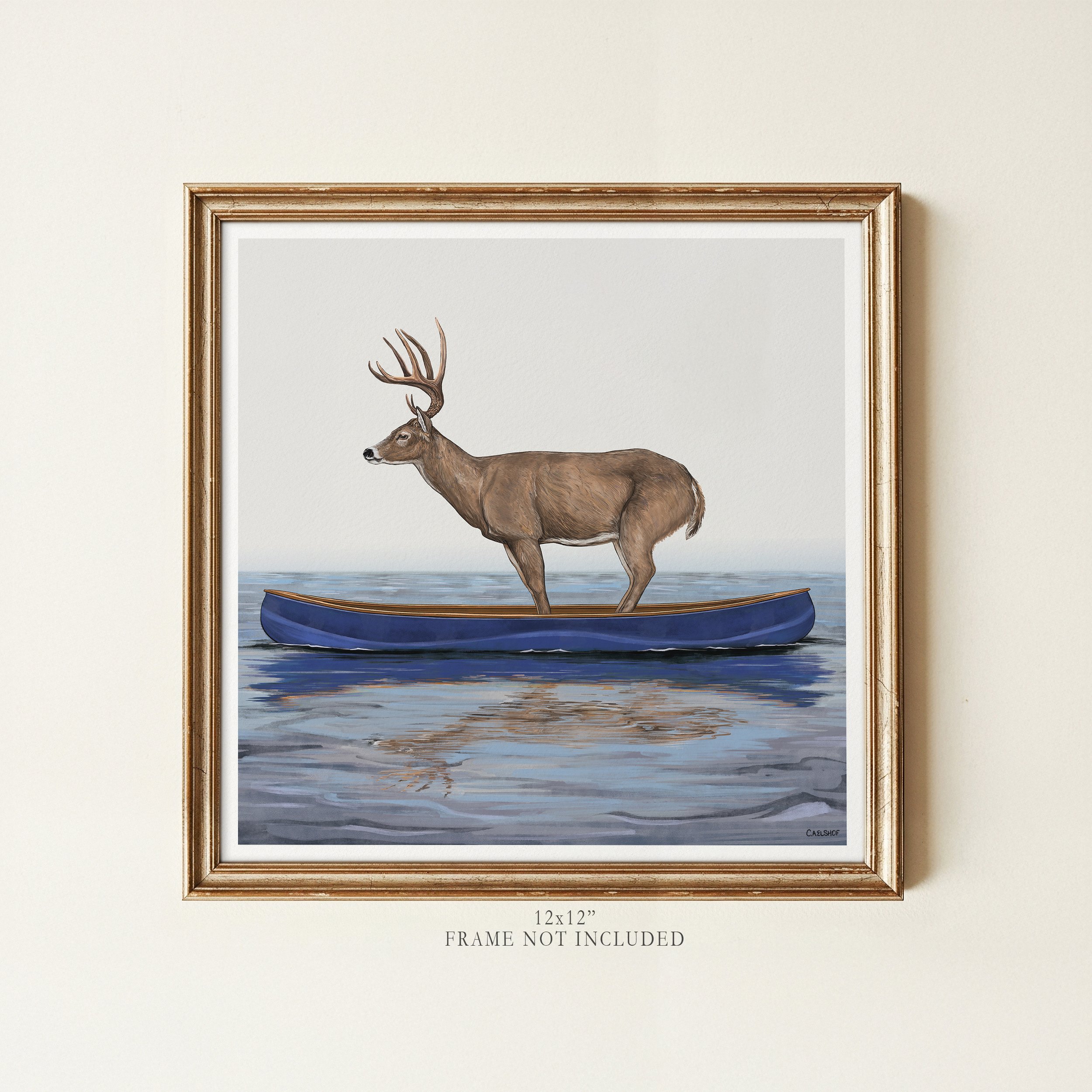 White-Tailed-Deer-In-Canoe-12x12-framed.jpg