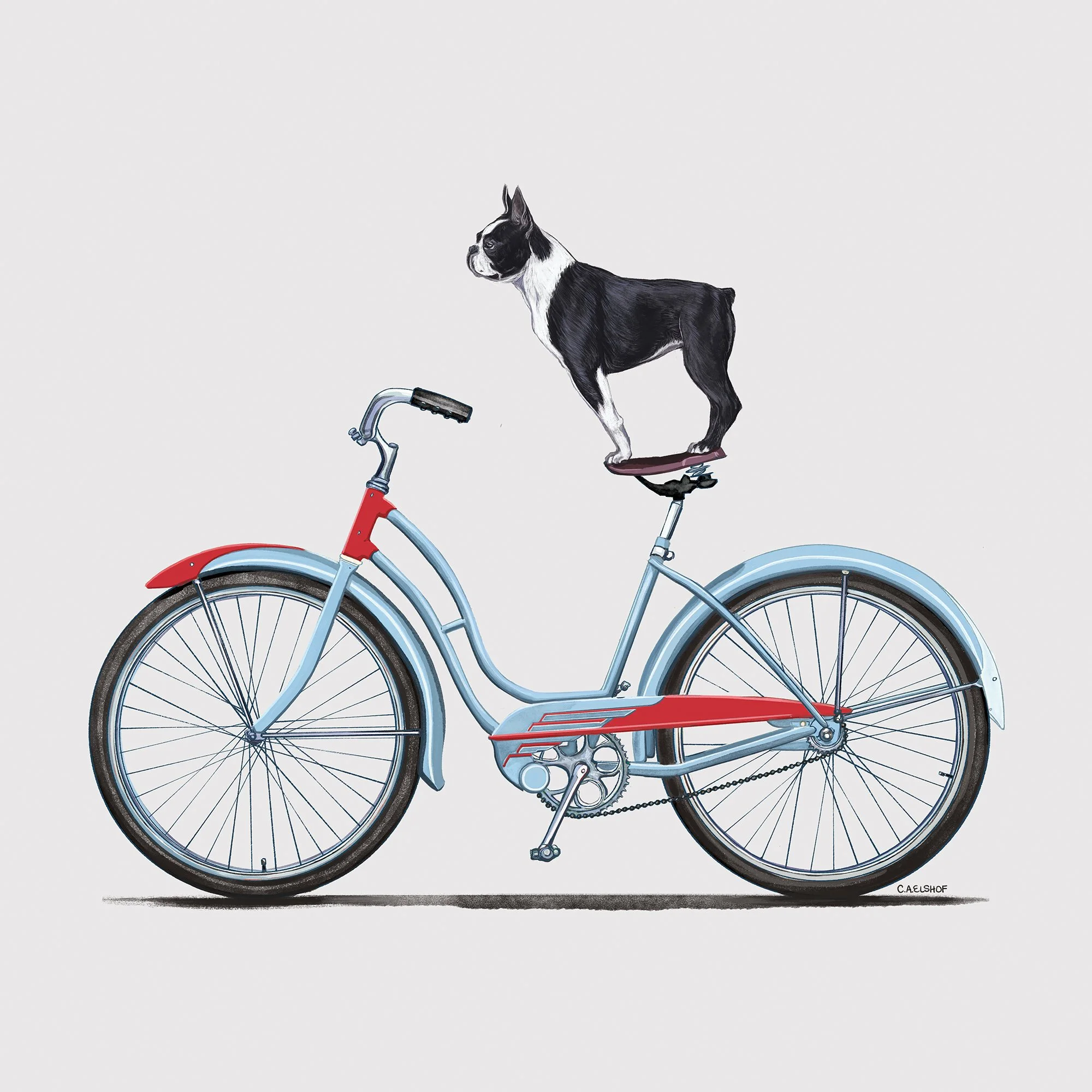 French Bulldog On Bicycle, 2026