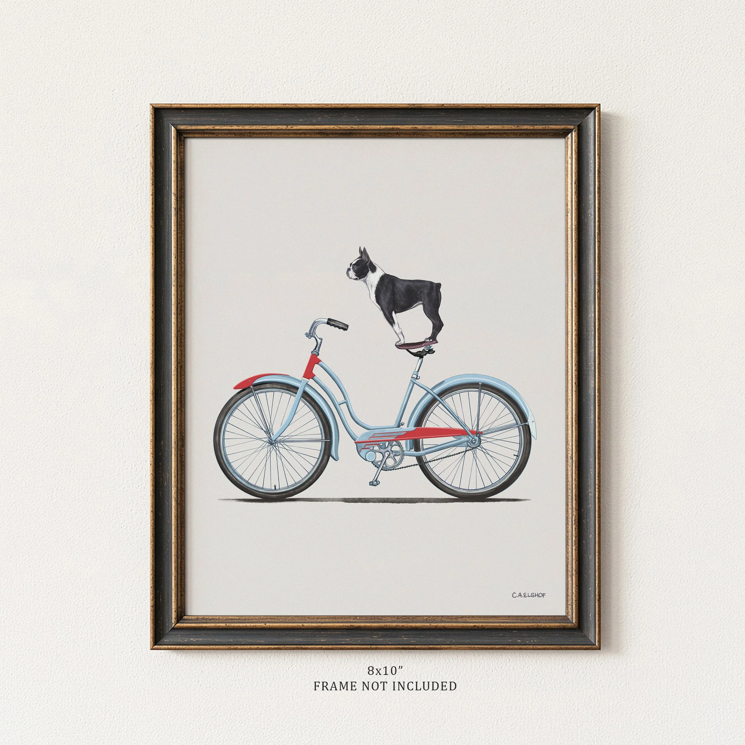 French Bulldog On Bicycle