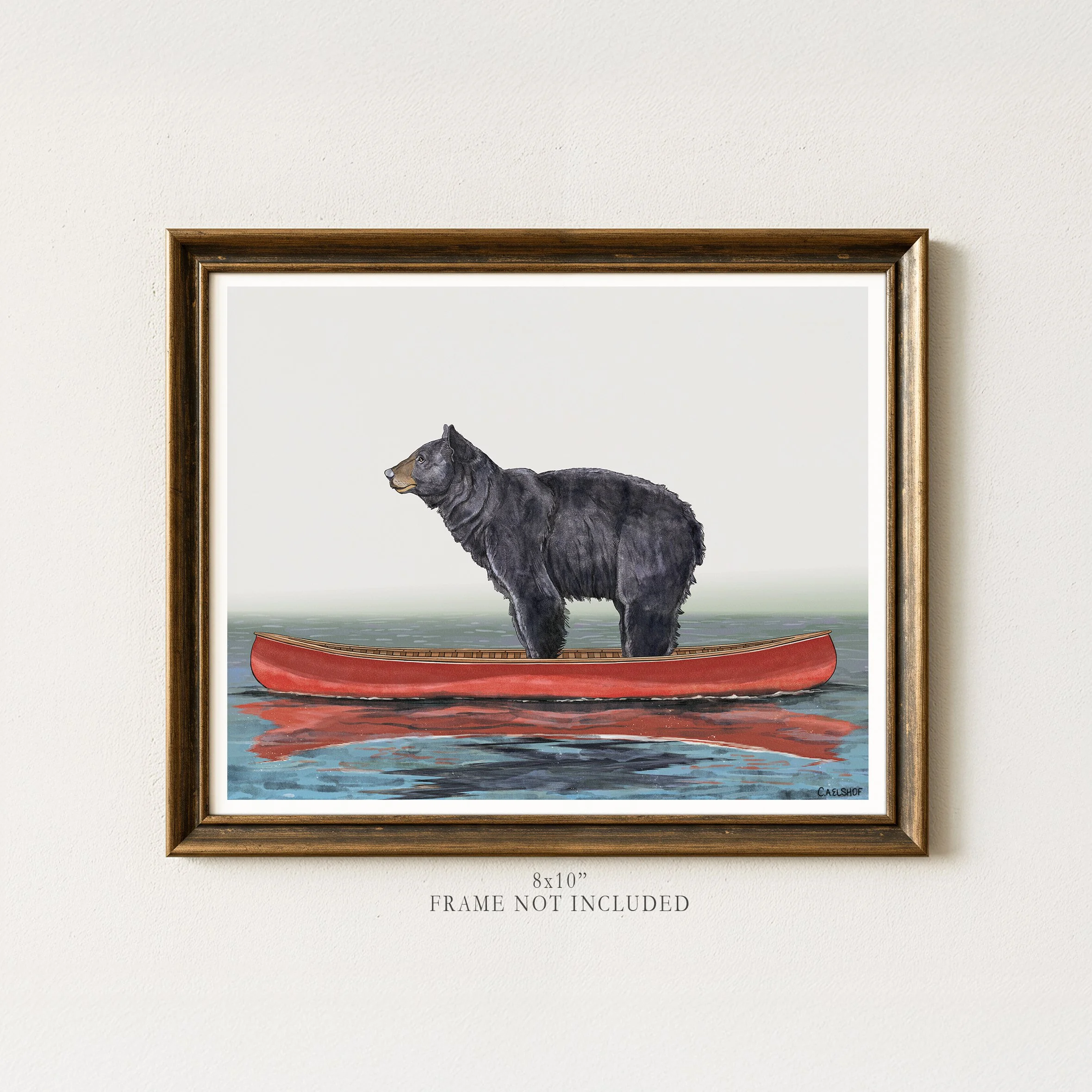 Black Bear In Canoe