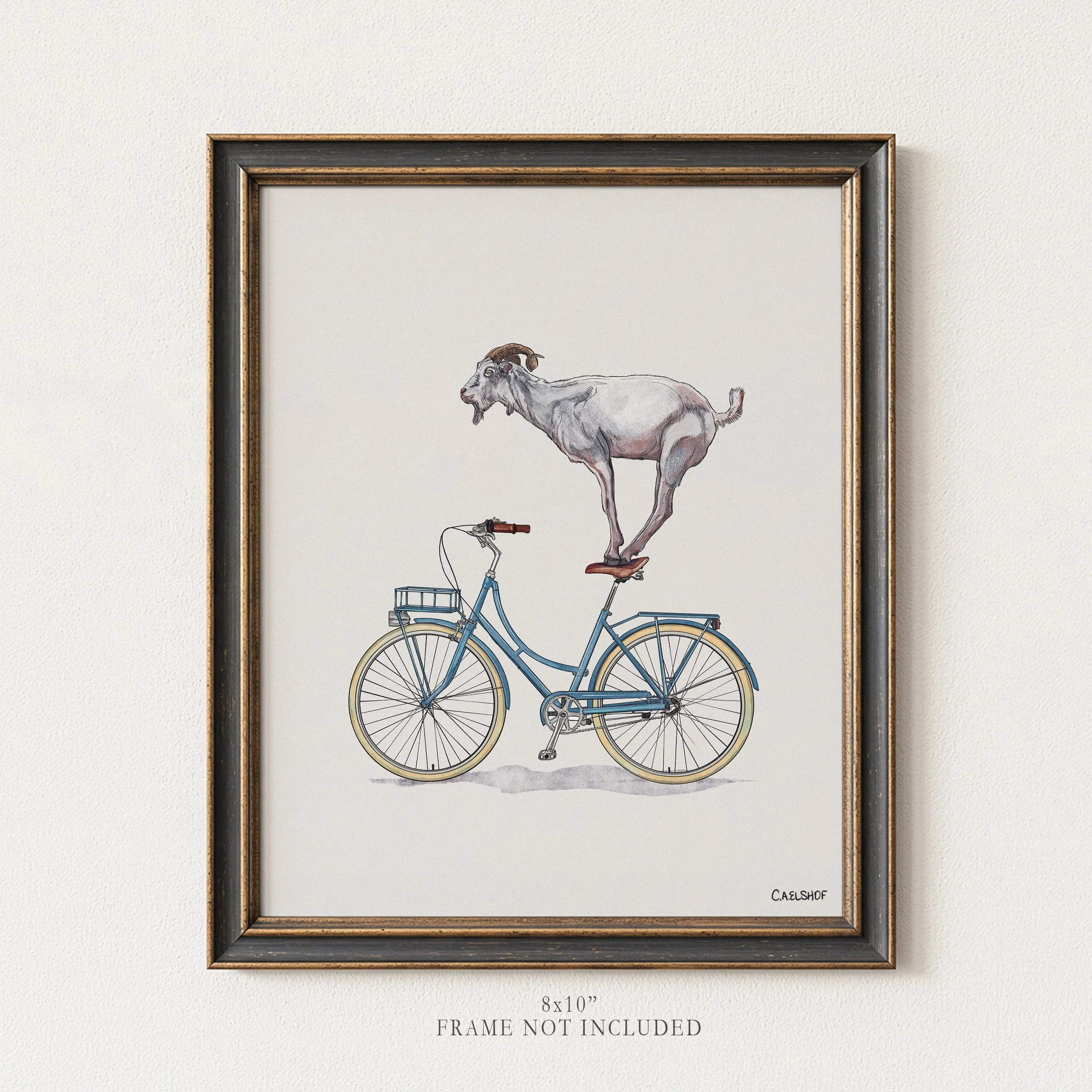Goat On Bicycle
