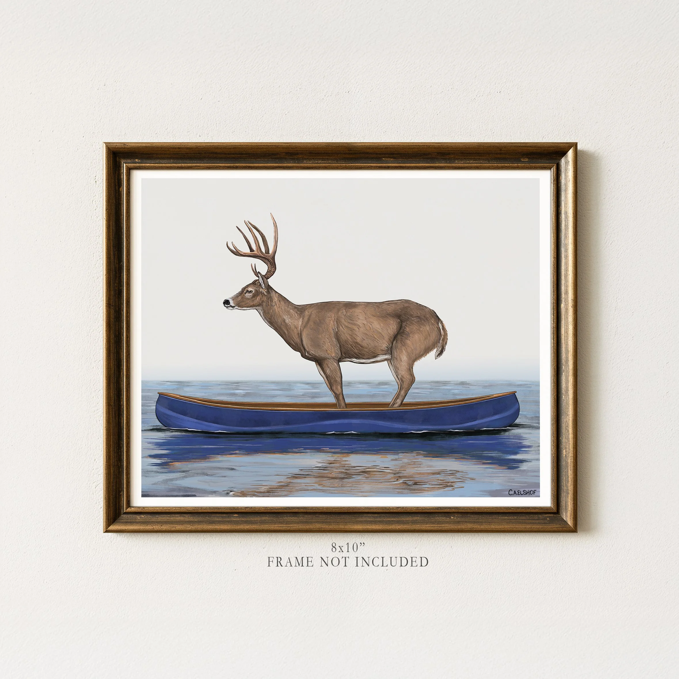 White-Tailed Deer In Canoe