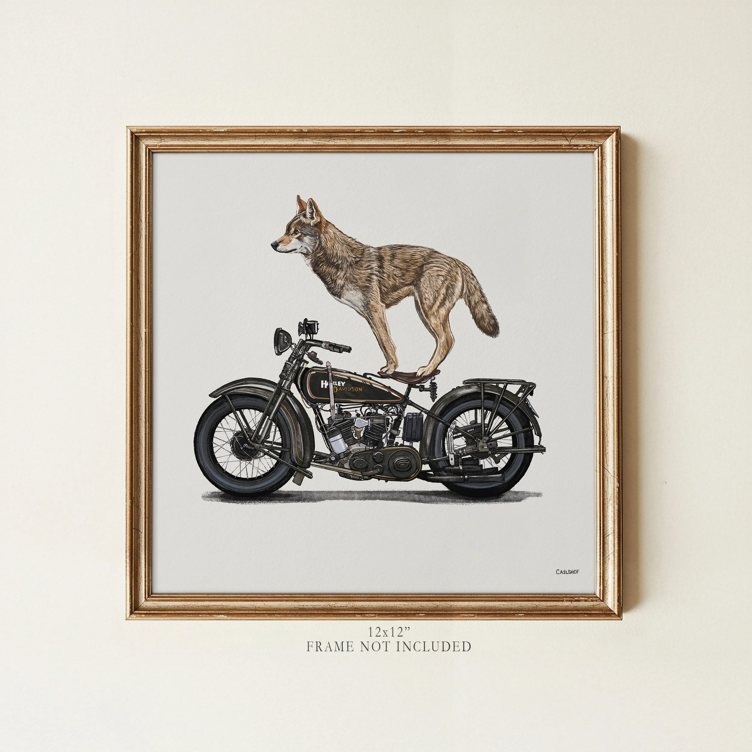 red-wolf-on-harley-12x12-framed.jpg