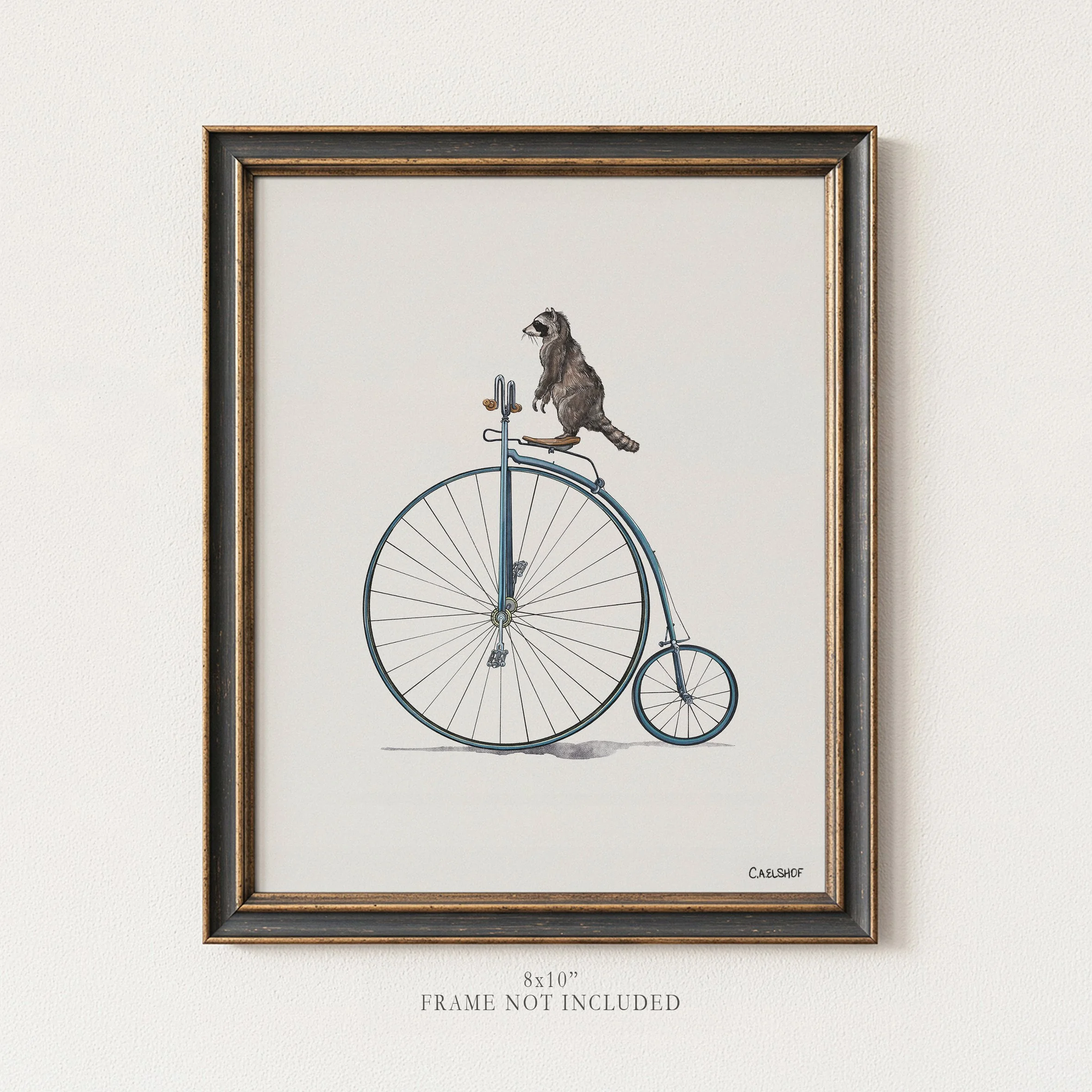Raccoon on Penny Farthing