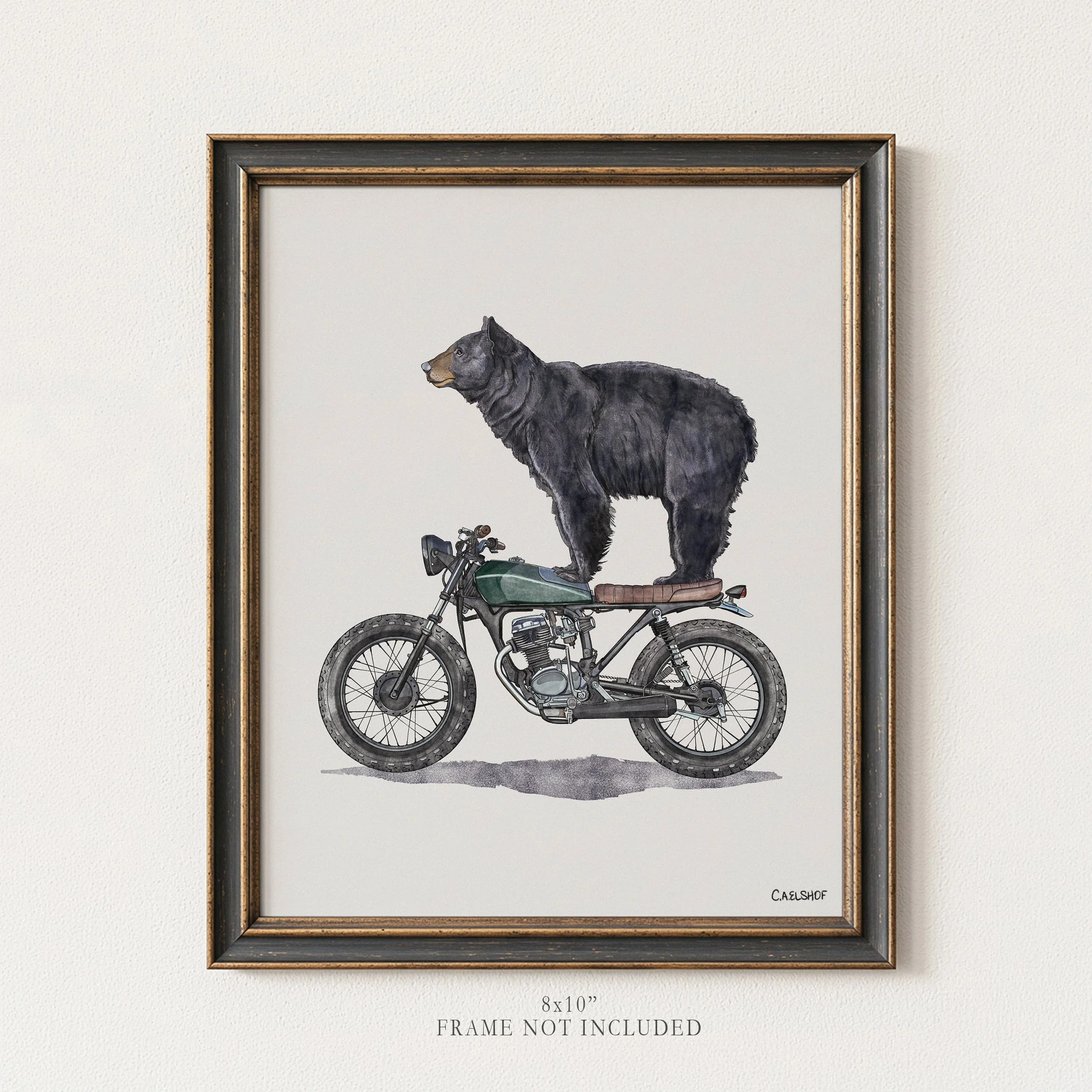 Black Bear On Motorcycle
