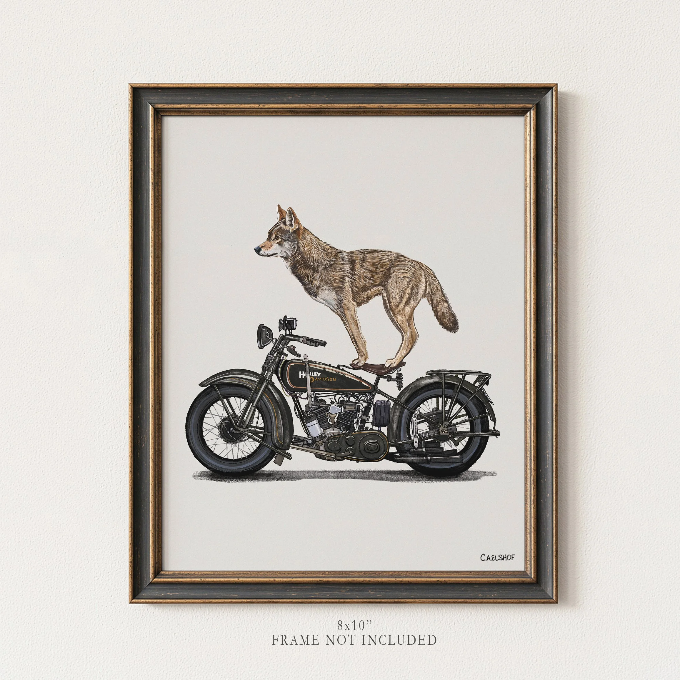 Red Wolf On Motorcycle