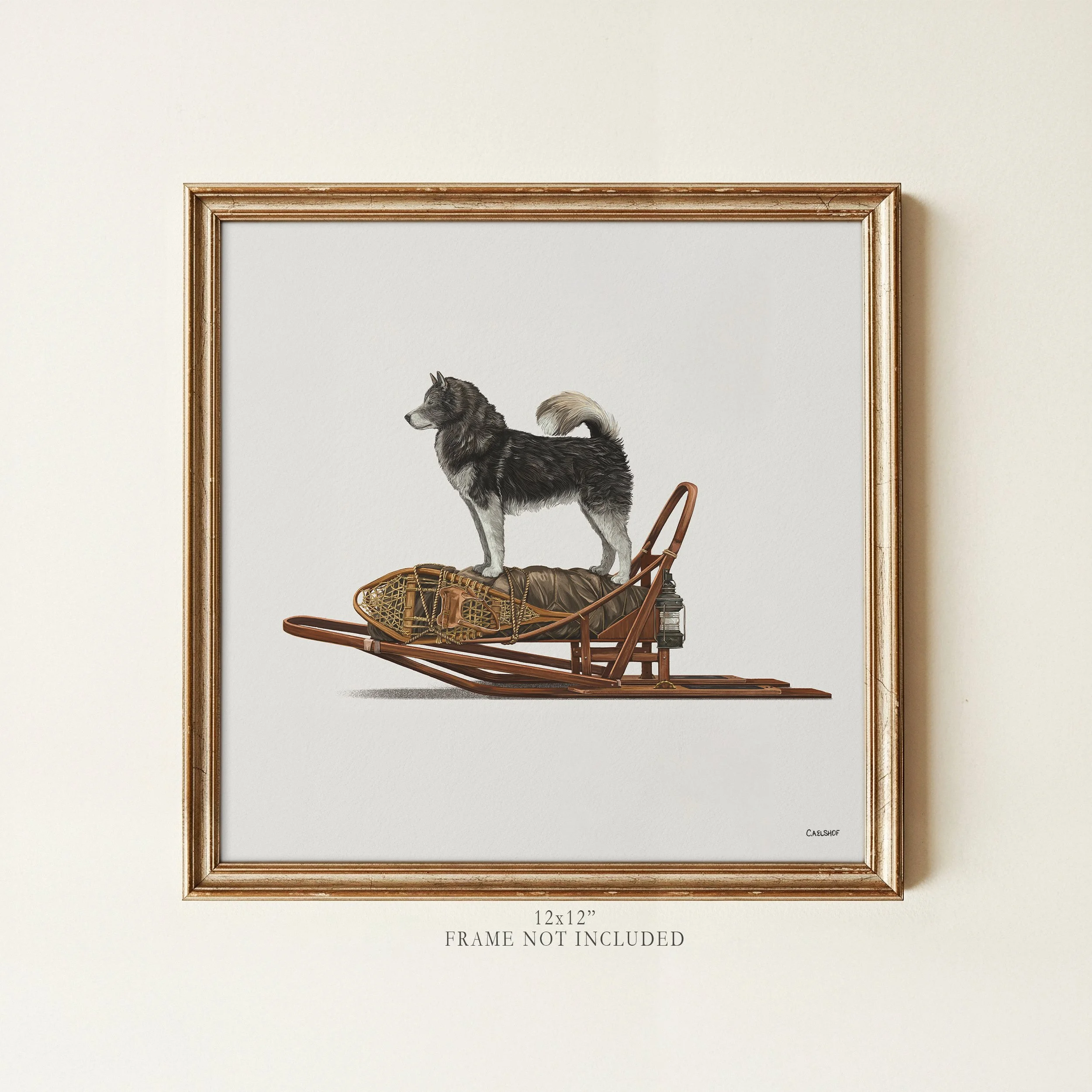 dog-on-dogsled-12x12-framed.jpg