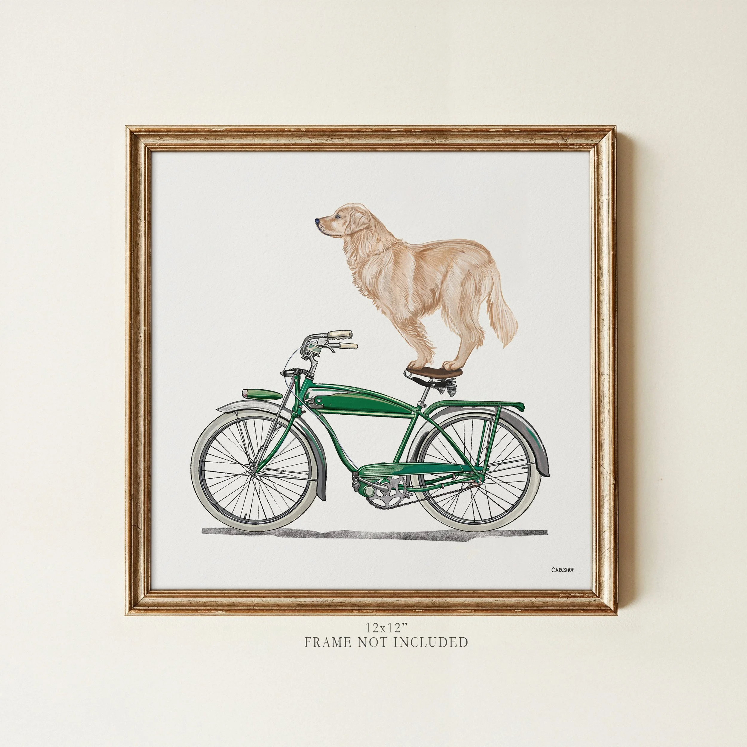 golden-retriever_on_bicycle-12x12-framed.jpg