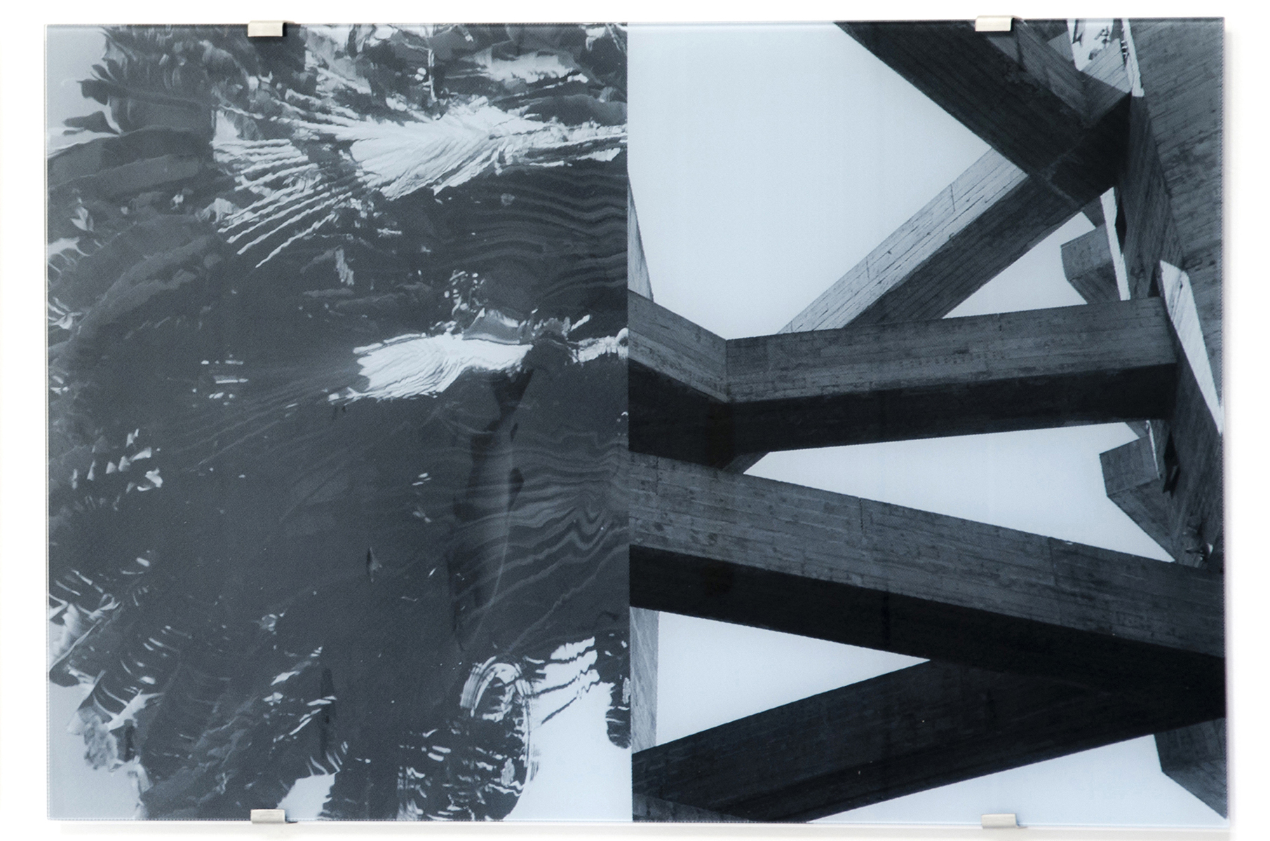 Sesc Pompéia, Musa Troglodytarum, reflection , 2016 silkscreen on glass 27-1/2 x 41-3/8 inches, 70 x 105 cm Edition of 5