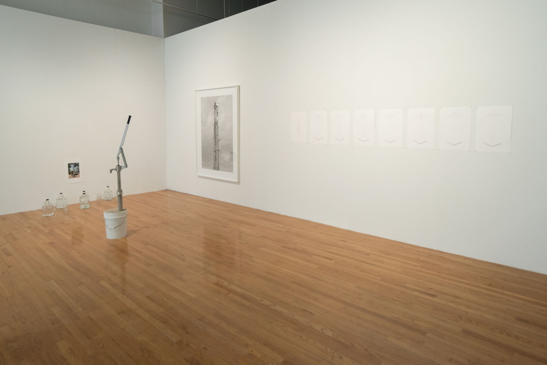 Veronika Kellndorfer,&nbsp;Sesc Pompeia, Echeveria Prolifica, 2016, silkscreen on glass, 27-1/2 x 41-3/8 inches,&nbsp;70 x 105 cm, edition of 5