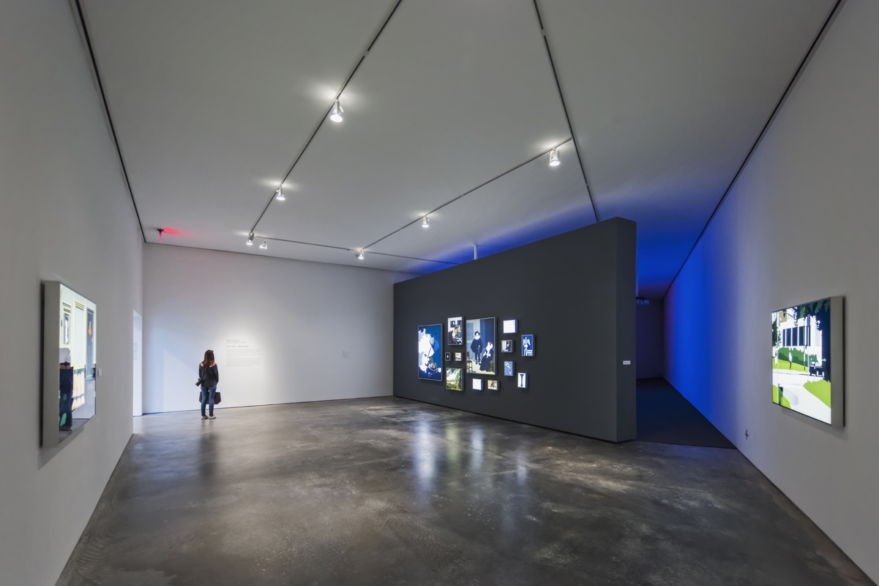 Kota Ezawa, installation view, The Crime of Art , SITElab, SITE Santa Fe, NM. Photo: Jeff Goldberg / ESTO