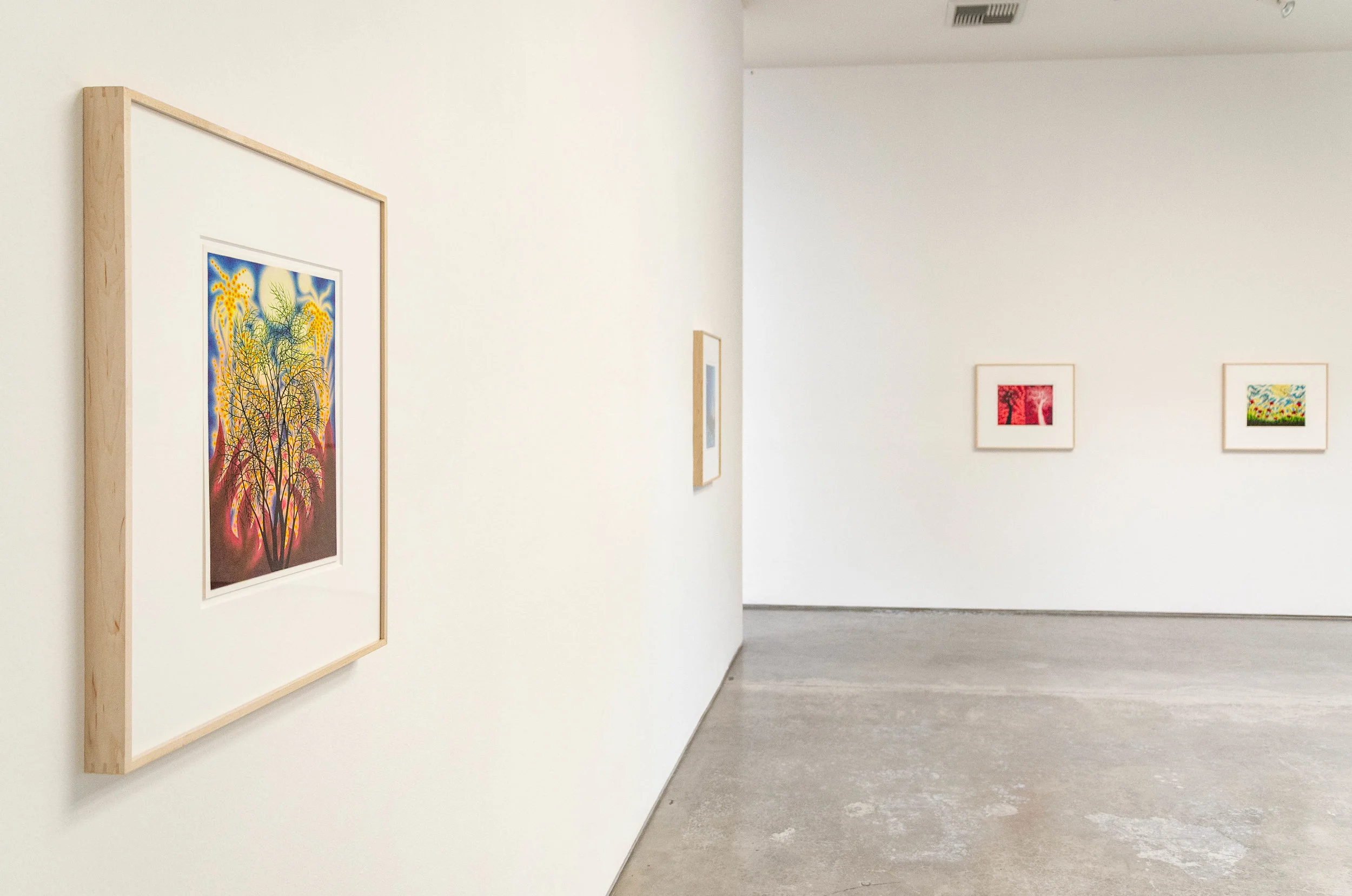 Ellis_installation views_2018-2.jpg
