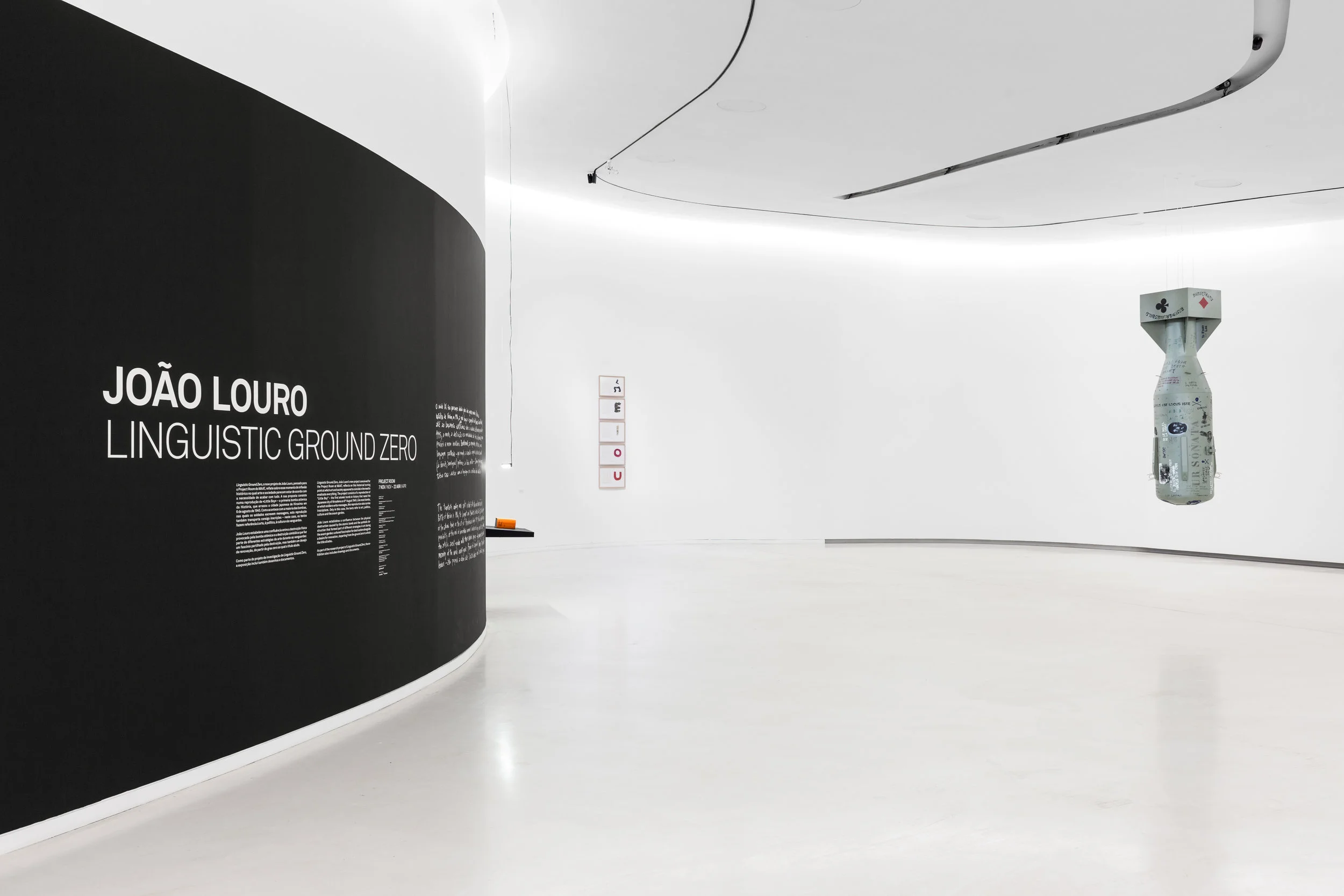 Joao Louro-3.jpg