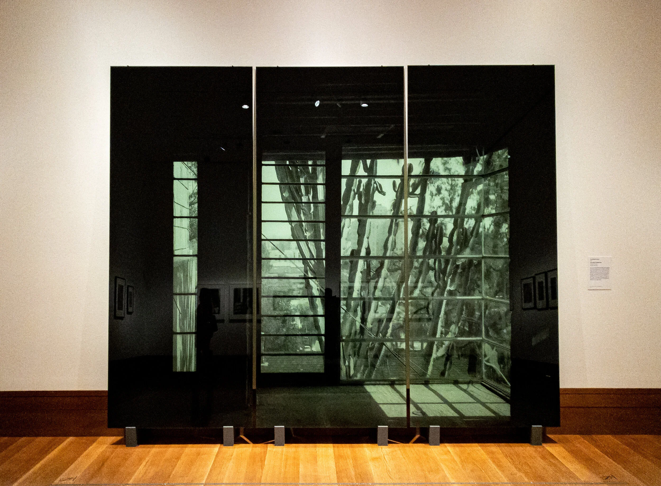 VK Succulent Screen Getty.JPG