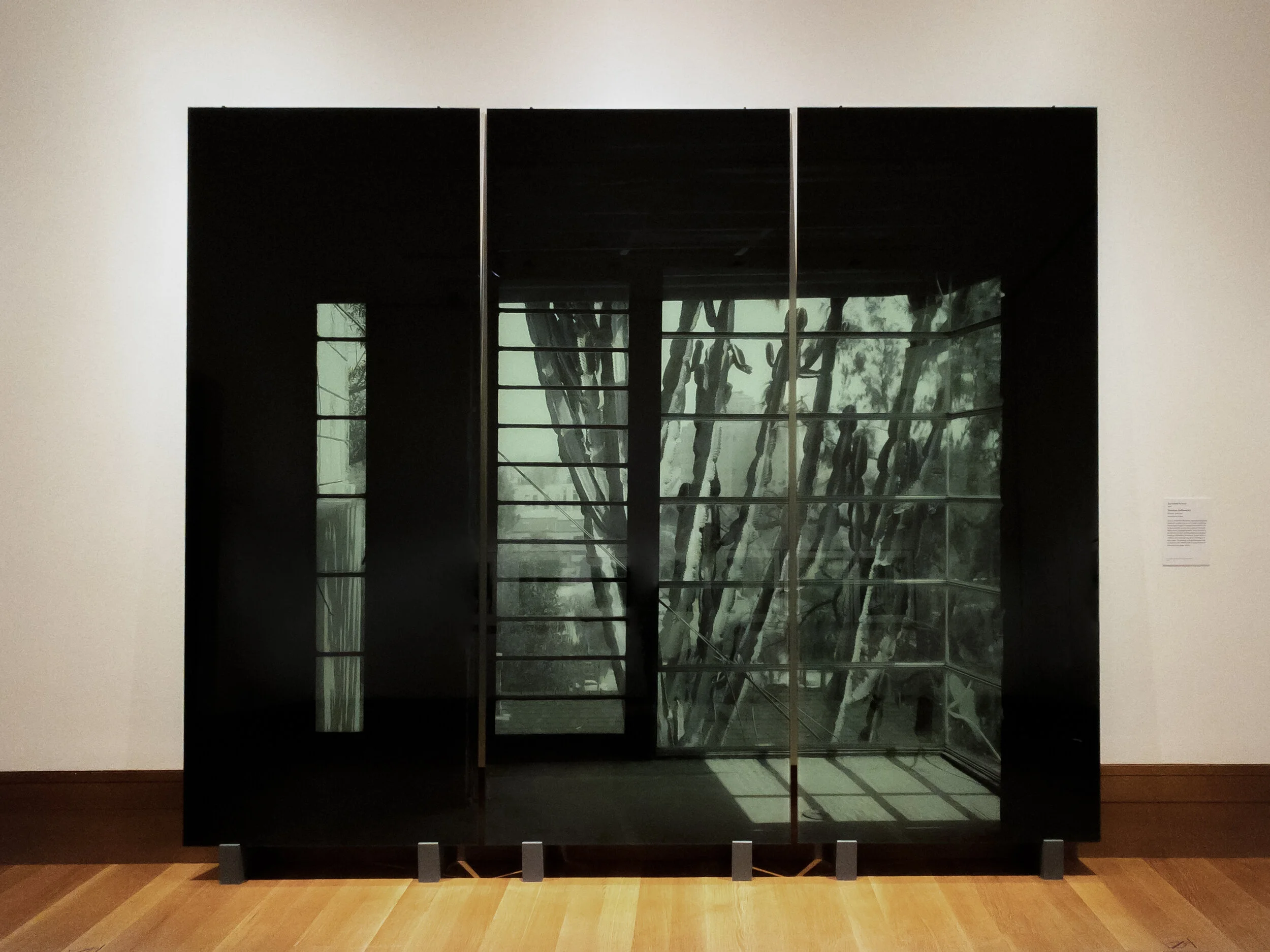 Installation view of Veronika Kellndorfer, Succulent Screen, J. Paul Getty Museum, 2019, Photo: Veronika Kellndorfer