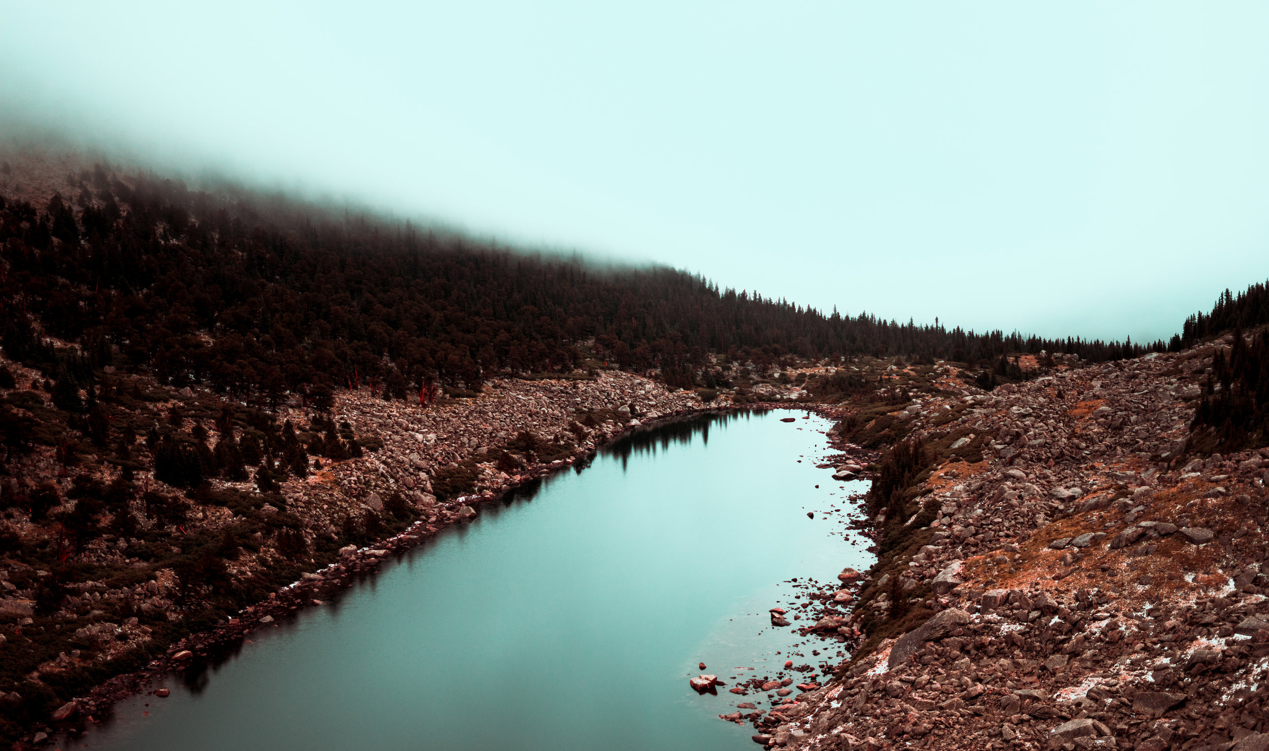 _DSC1816.jpg