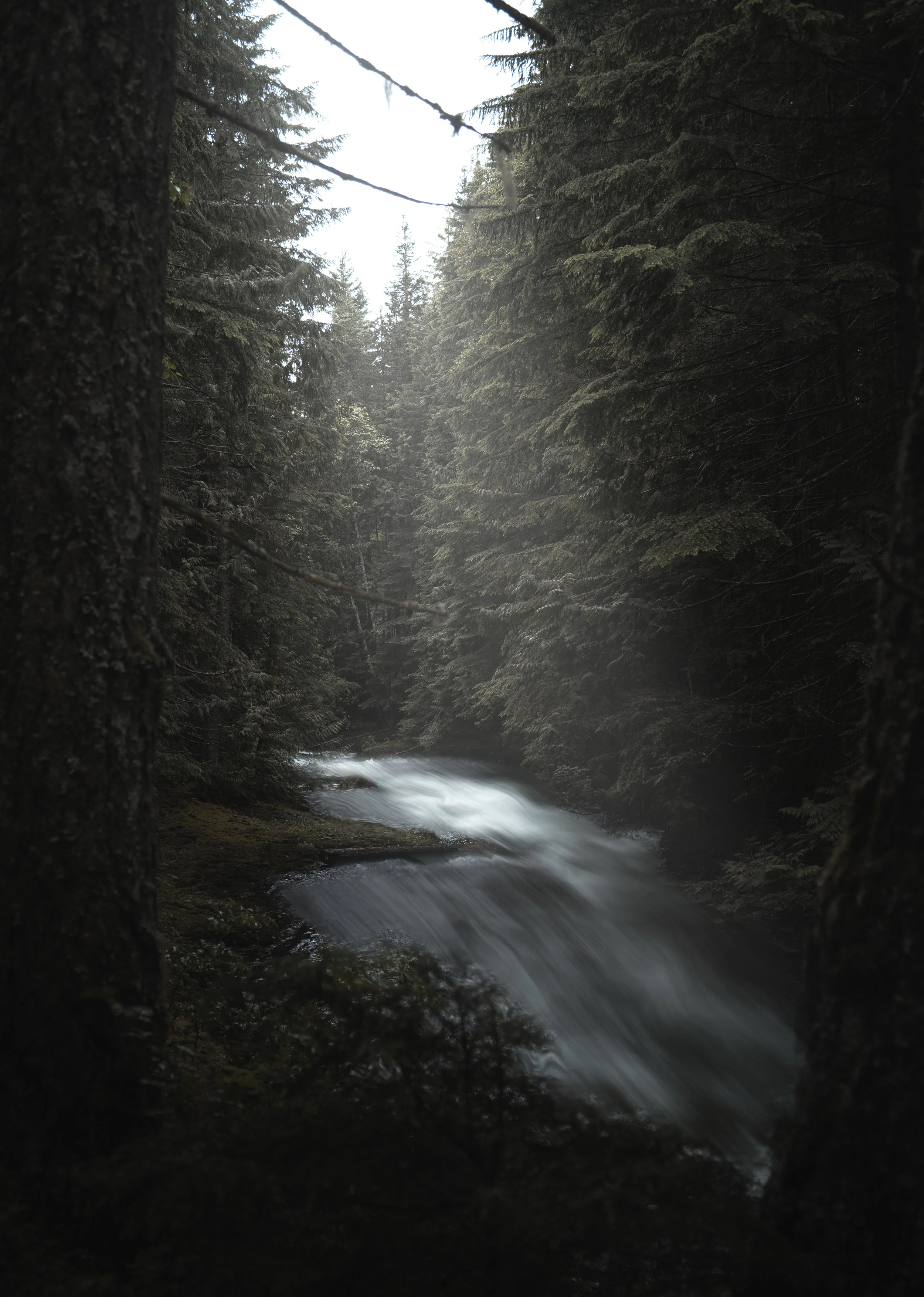DSC08193-1.jpg