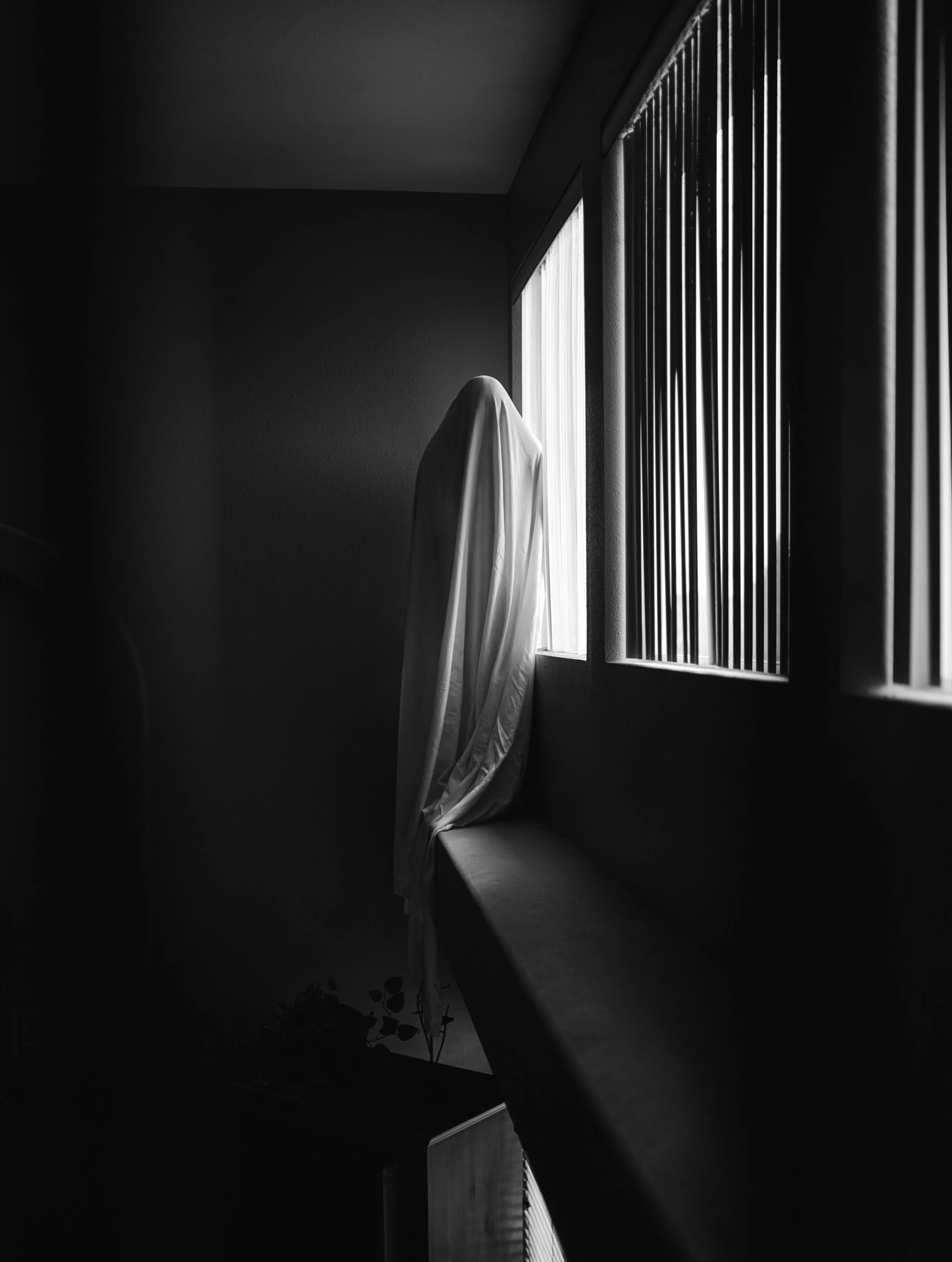 DSC03166-2.jpg