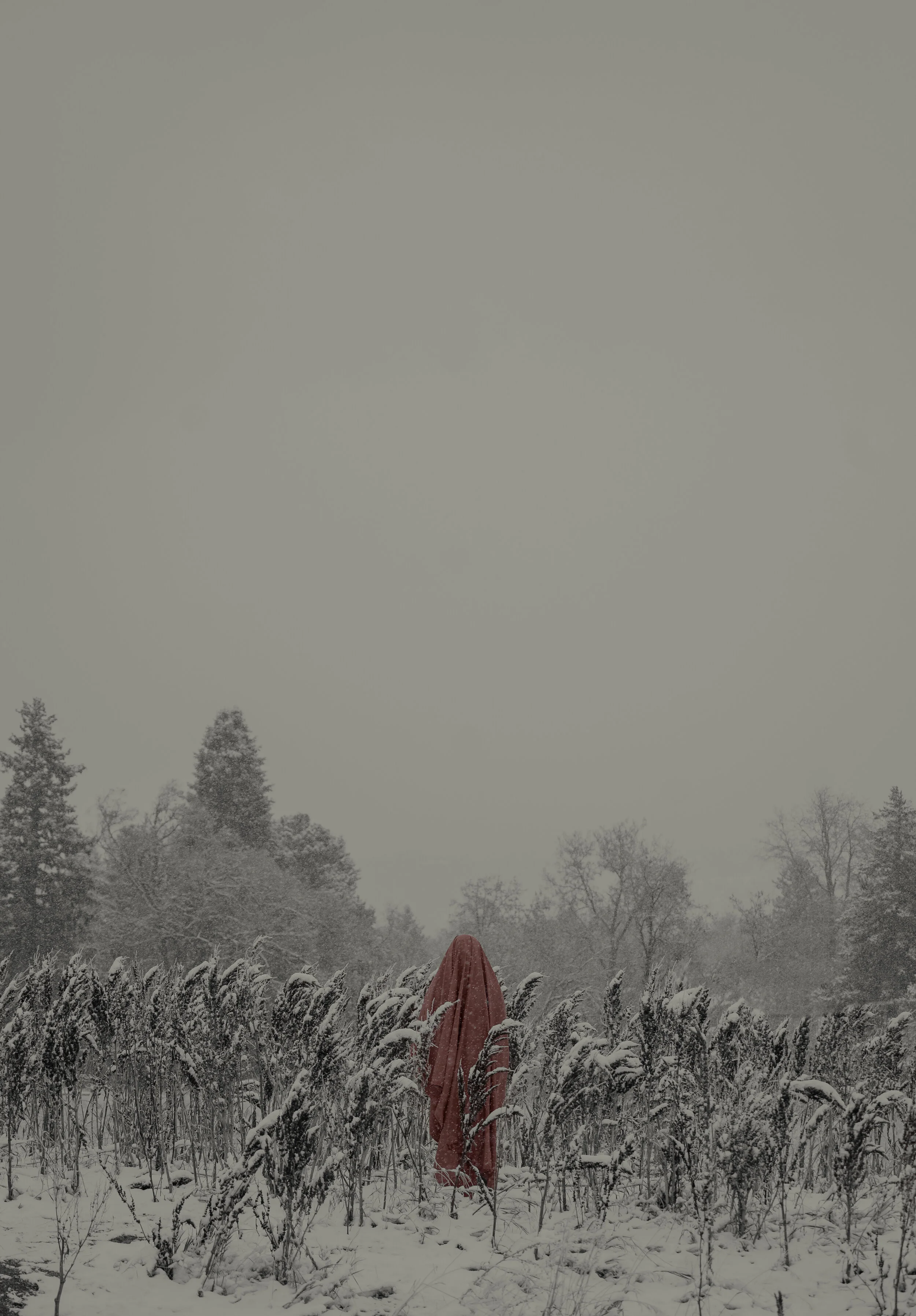 DSC02742-Edit.jpg